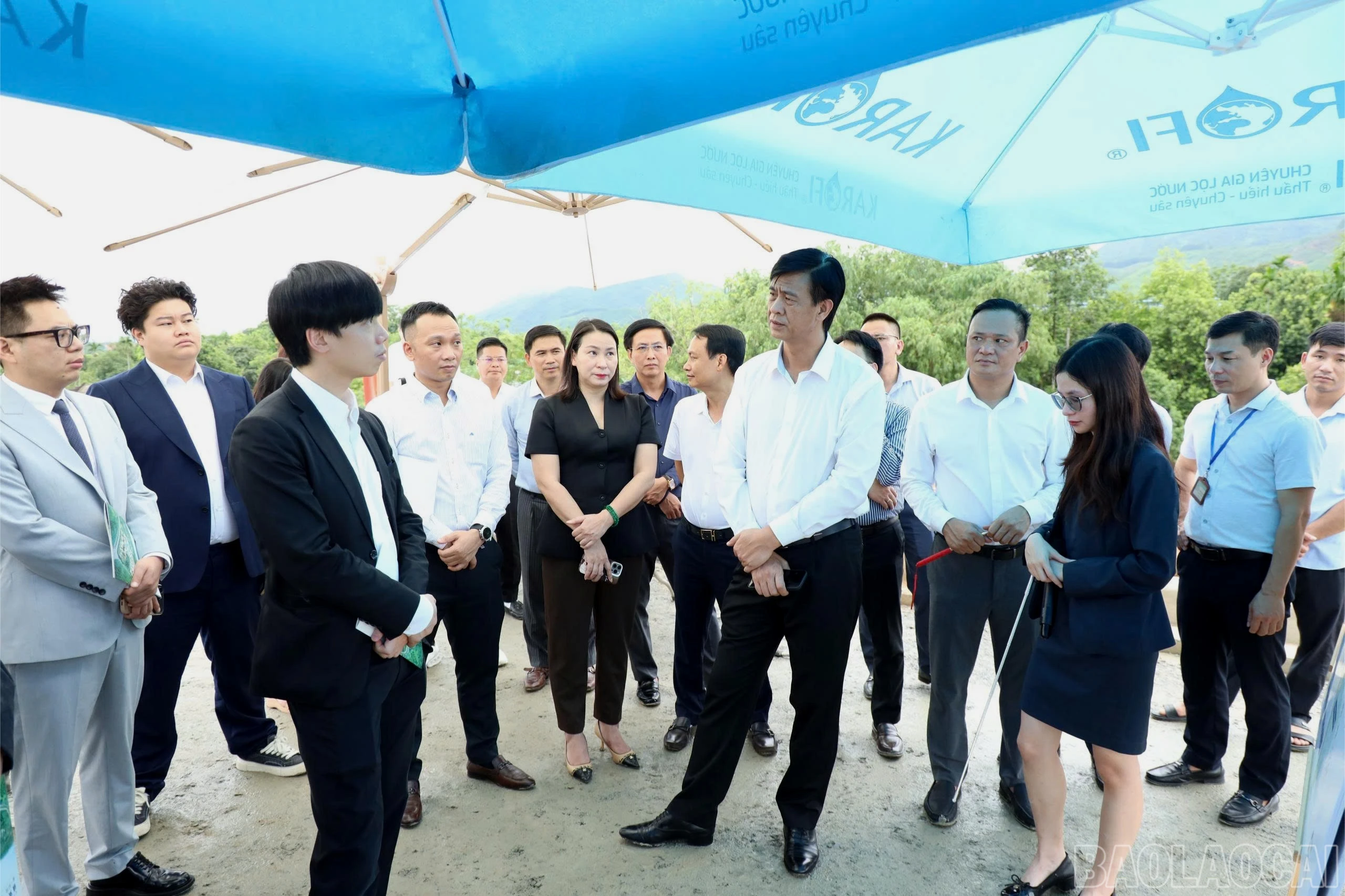 baolaocai-br_z8048461542802-d991322c4283ec7a6c368f53d1256074-9100.jpg