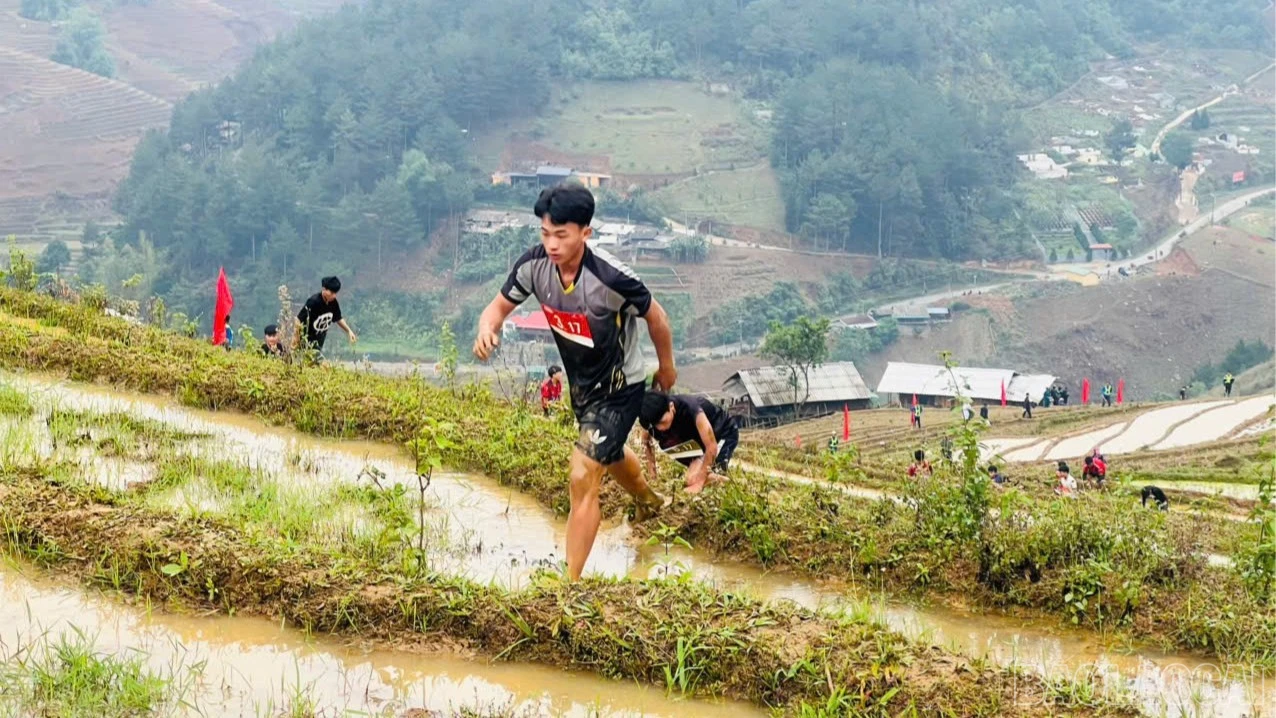 baolaocai-br_z7788336904948-2516d8ea473a34abb2730e93b1044b35-7733.jpg