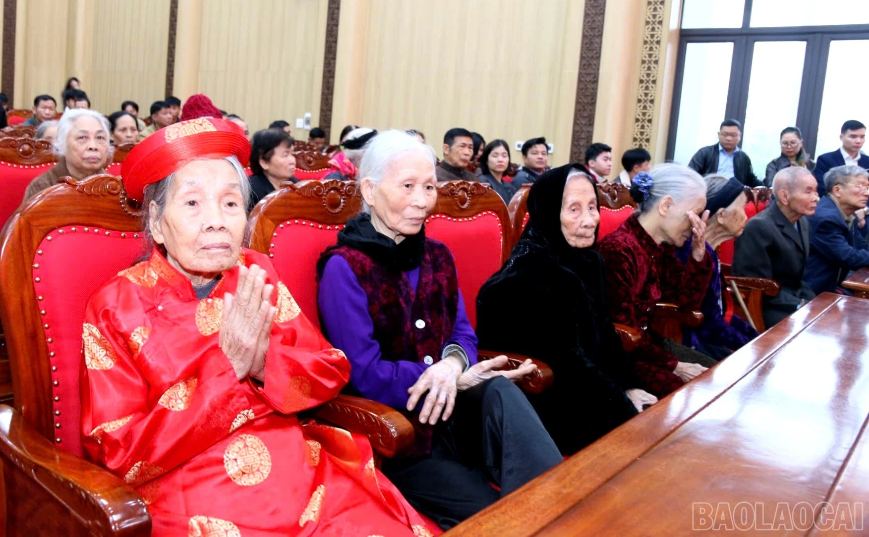 baolaocai-br_z7536043233404-f38946b9762b8ebb46628e404e9ae9d4-2642.jpg
