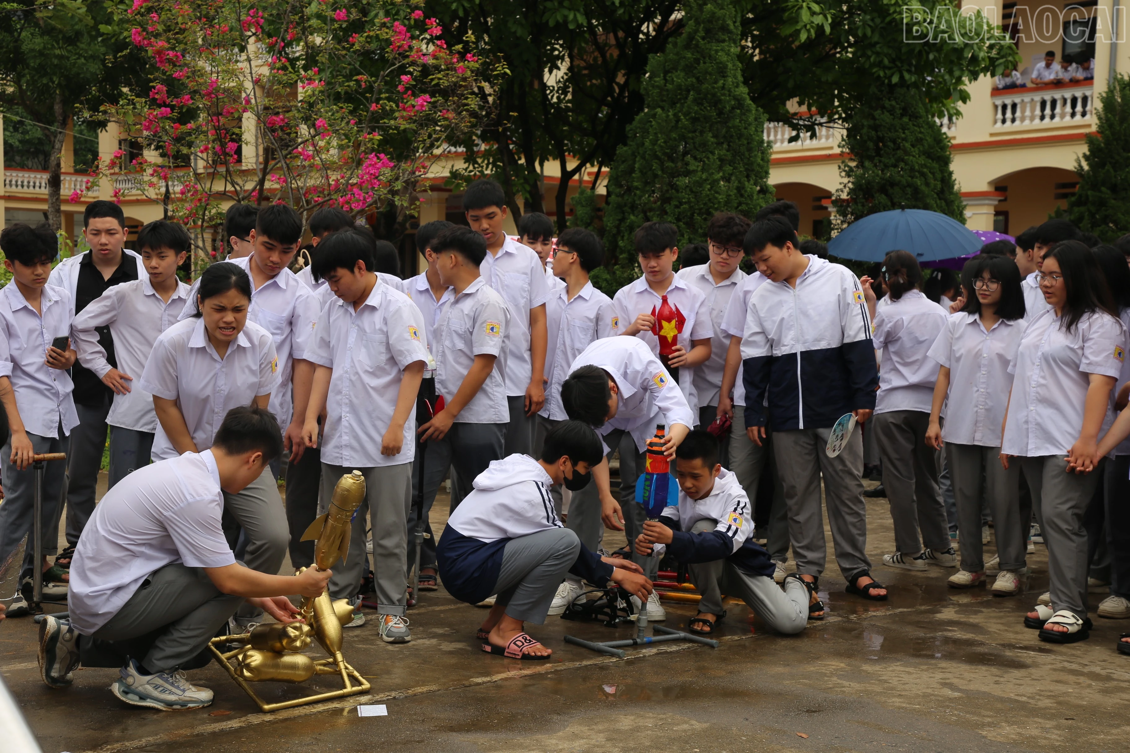baolaocai-tr_img-0723.jpg