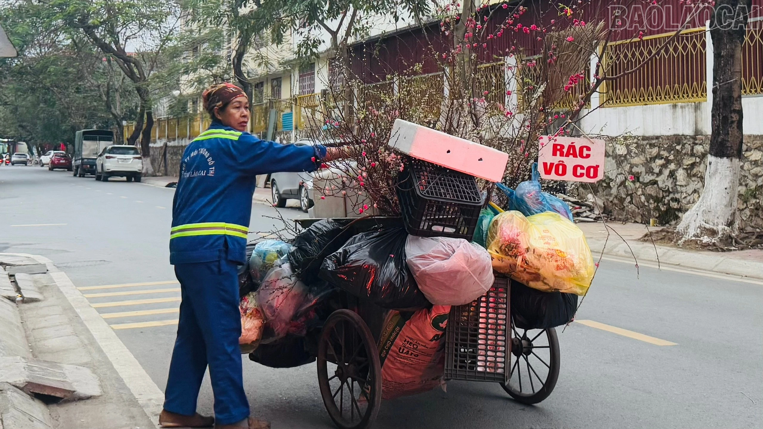 baolaocai-tr_rac-tet.jpg