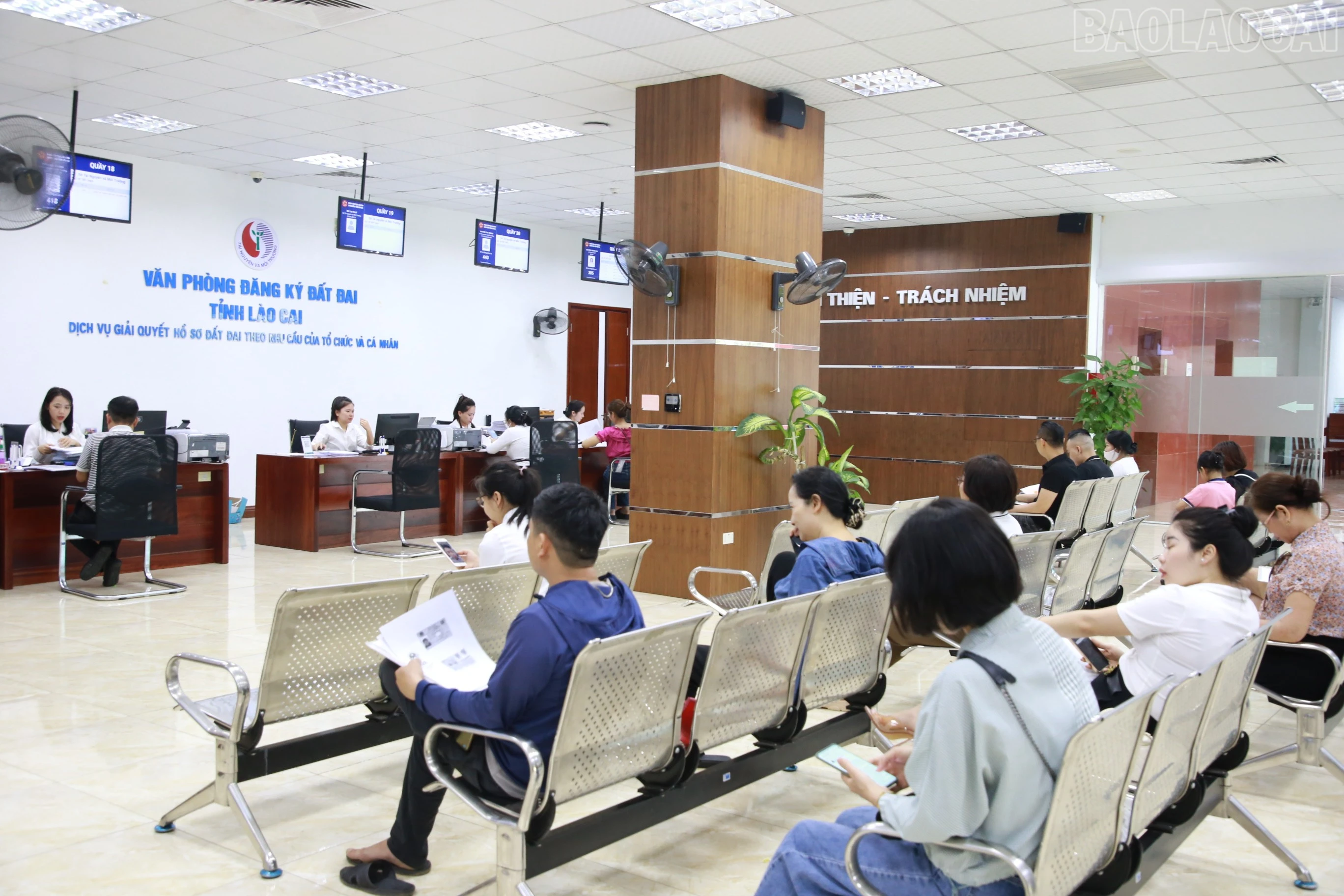 baolaocai-tr_img-8741.jpg