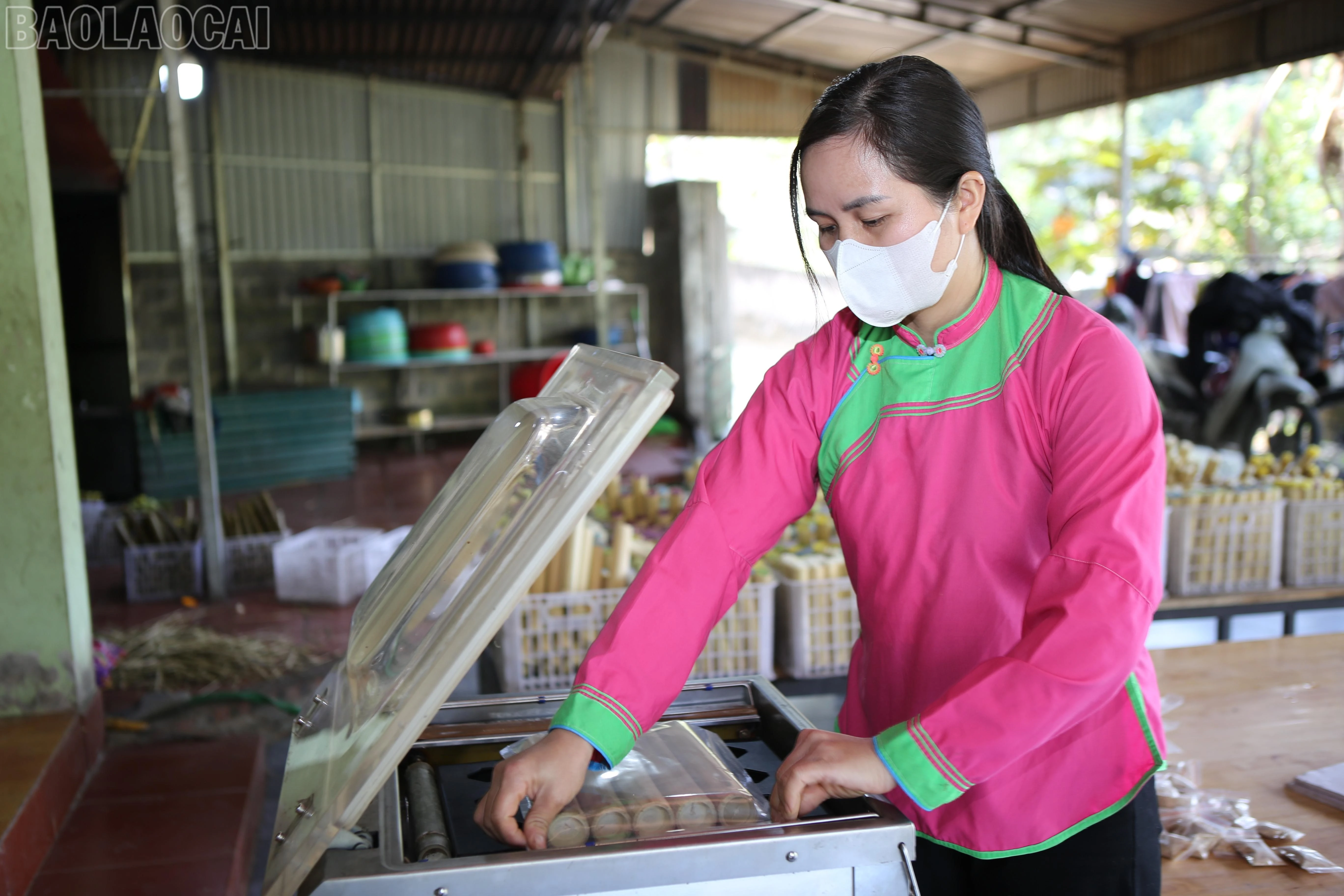 baolaocai-tl_z7423025467719-d0adfcf4033670c44a197d6a3e0900cc.jpg