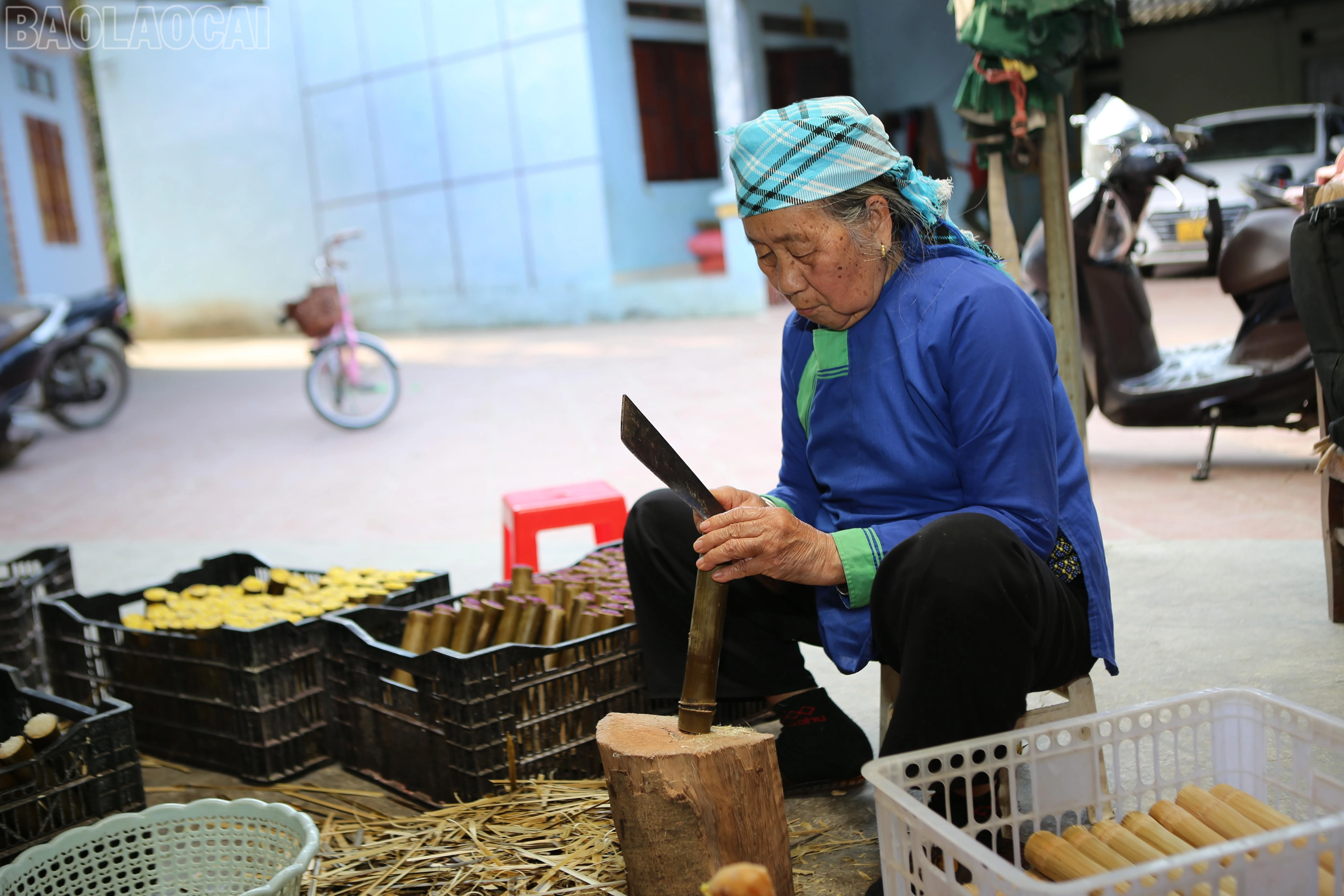 baolaocai-tl_z7423026427709-6a3c14b9b9eadd54cce2c474da60f859.jpg