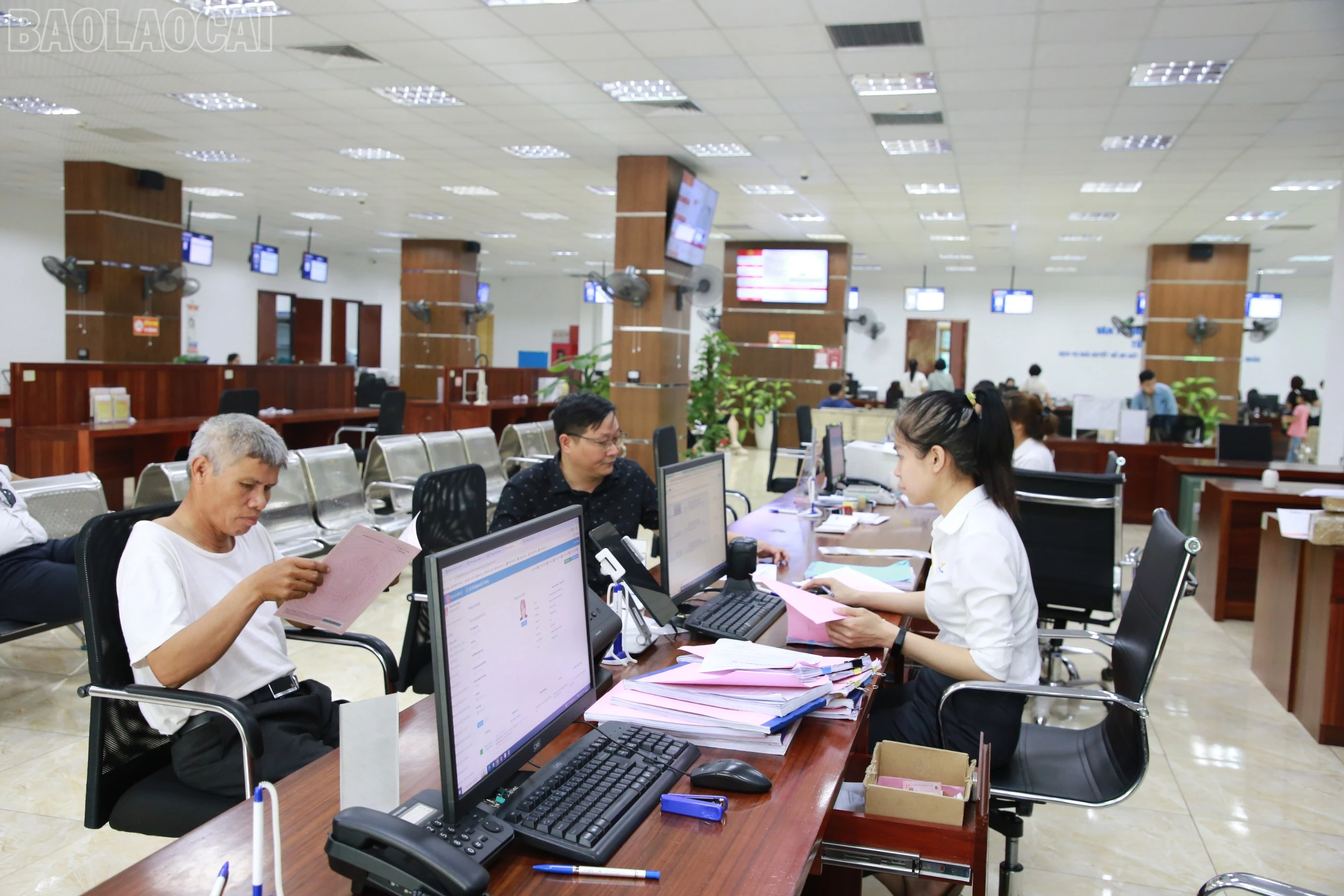 baolaocai-tl_img-8779.jpg