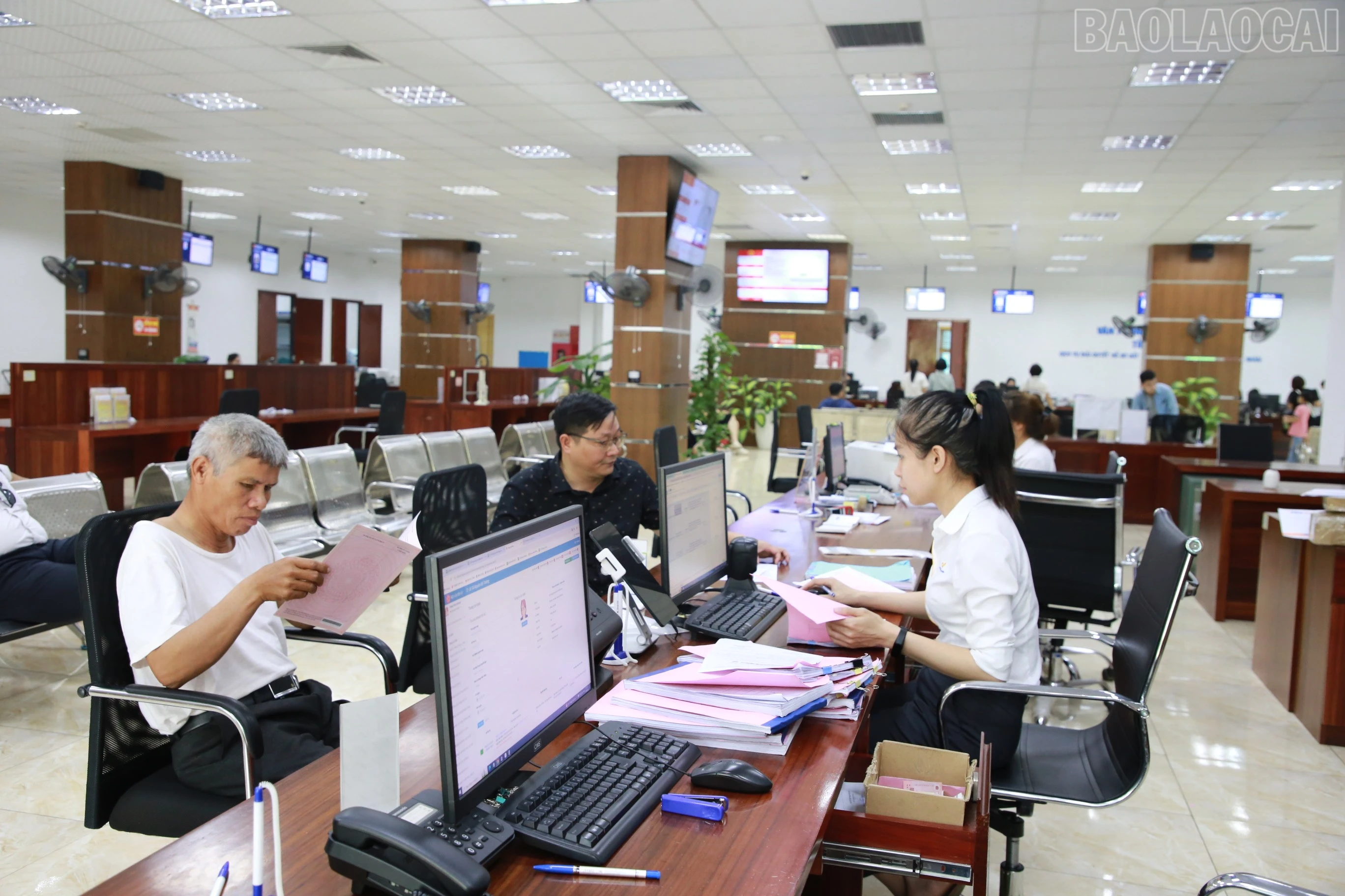 baolaocai-tr_img-8779.jpg