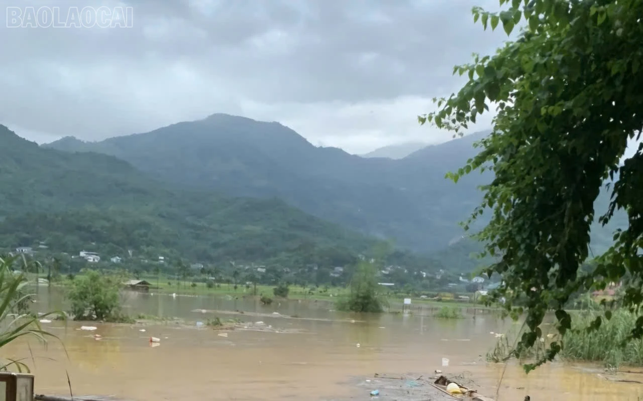 ngập lụt.jpg