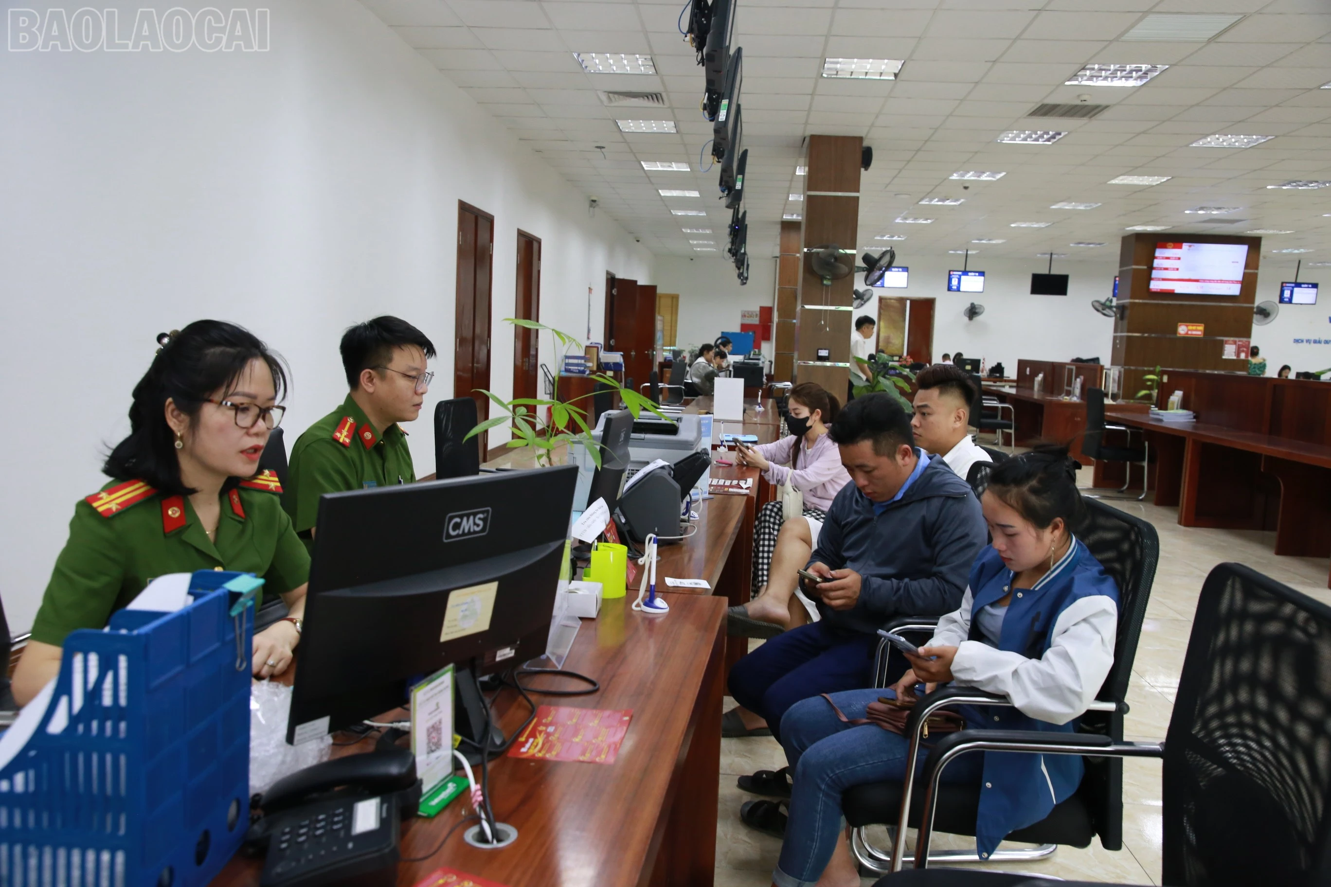 baolaocai-tl_img-8793.jpg