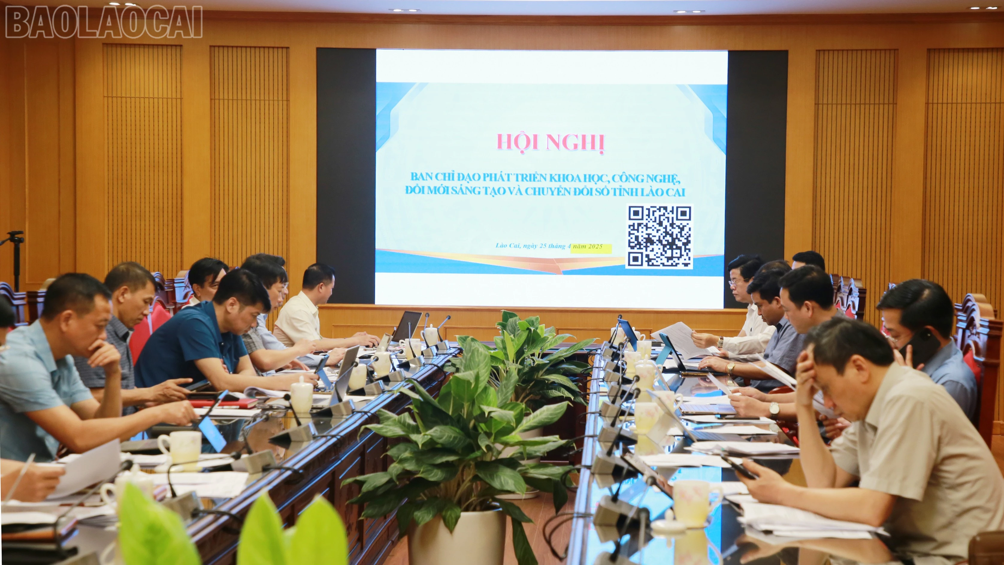baolaocai-tl_img-0790.jpg