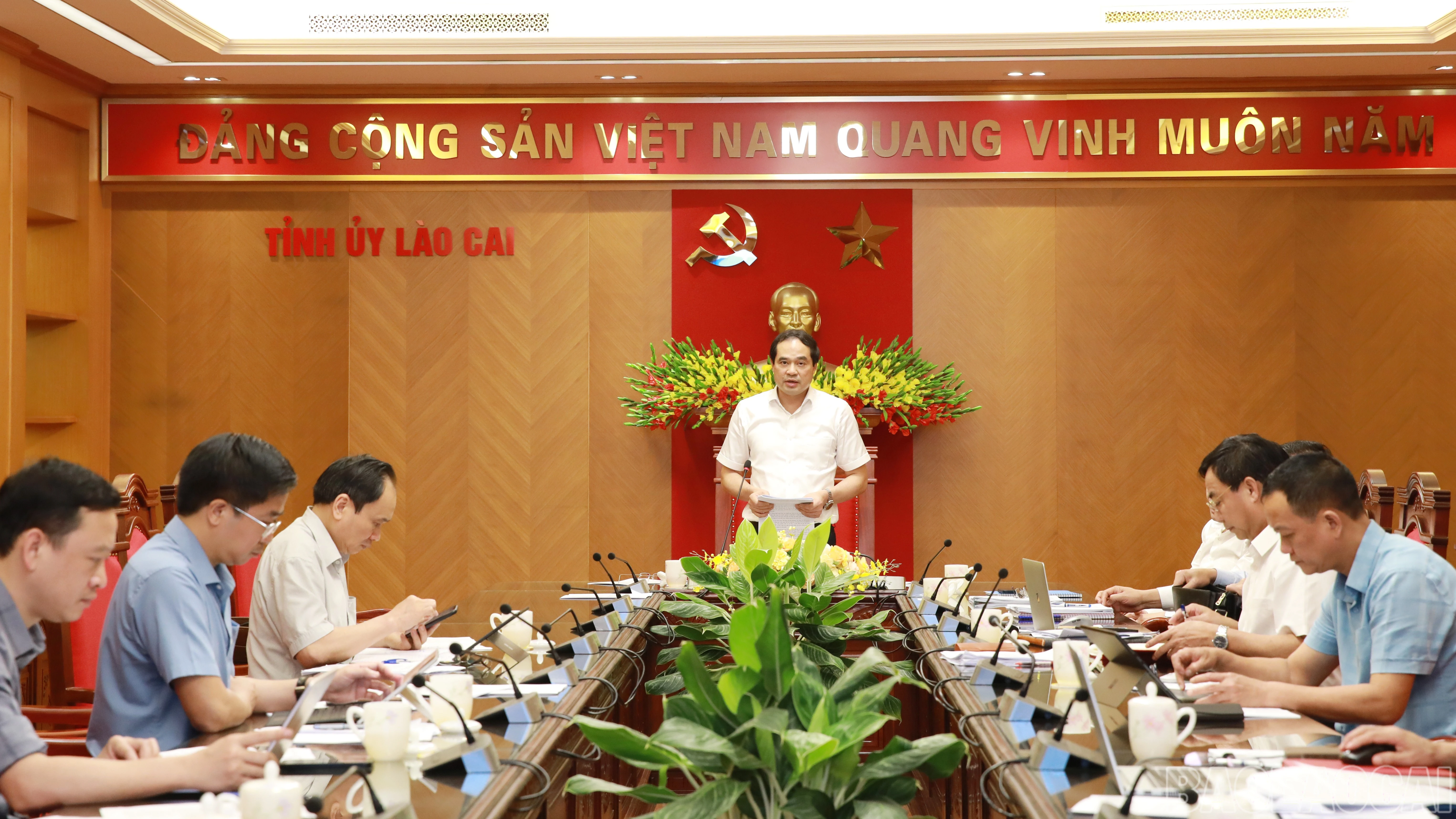baolaocai-br_4y3a4158.jpg