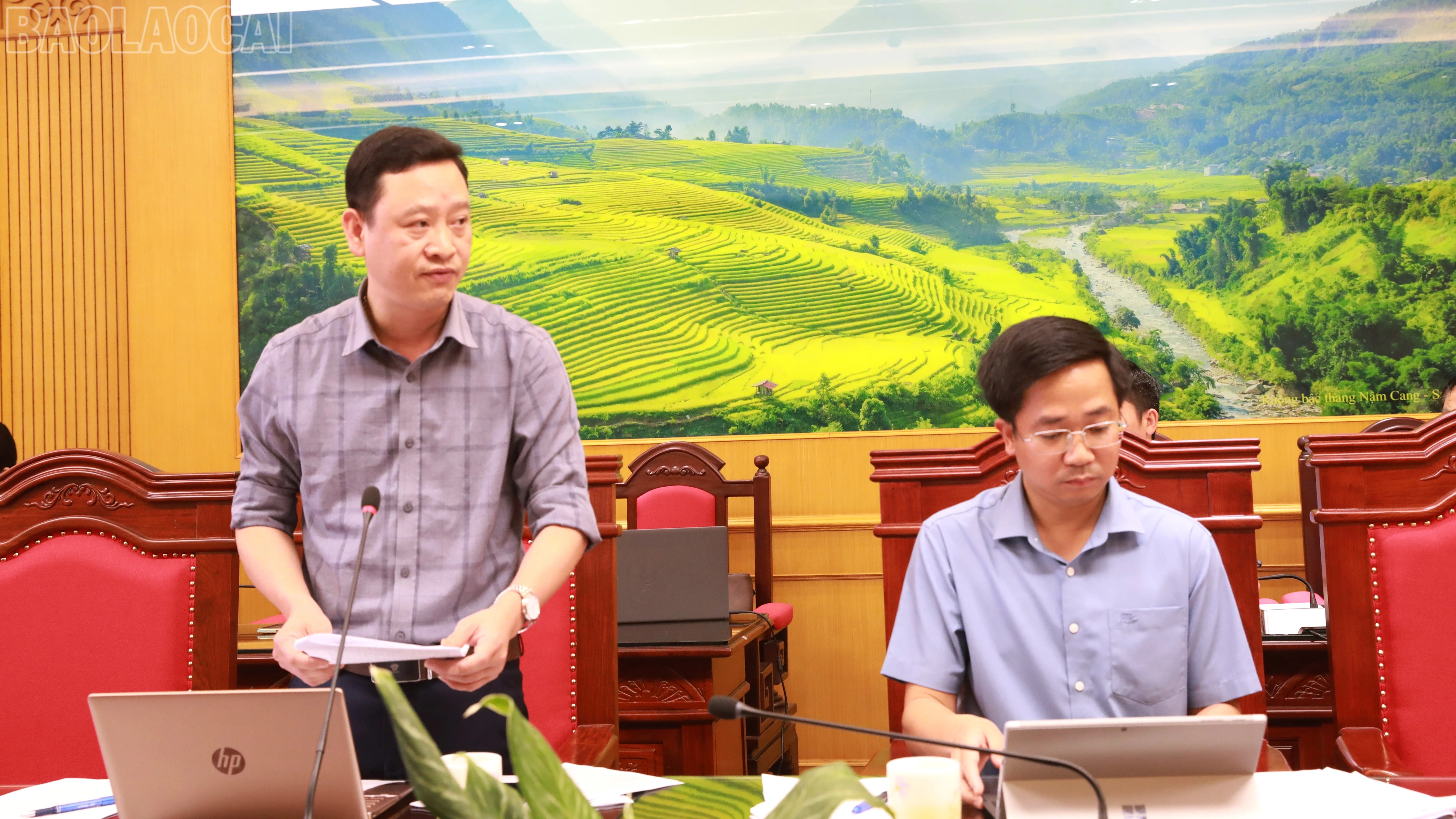 baolaocai-tl_4y3a4133.jpg
