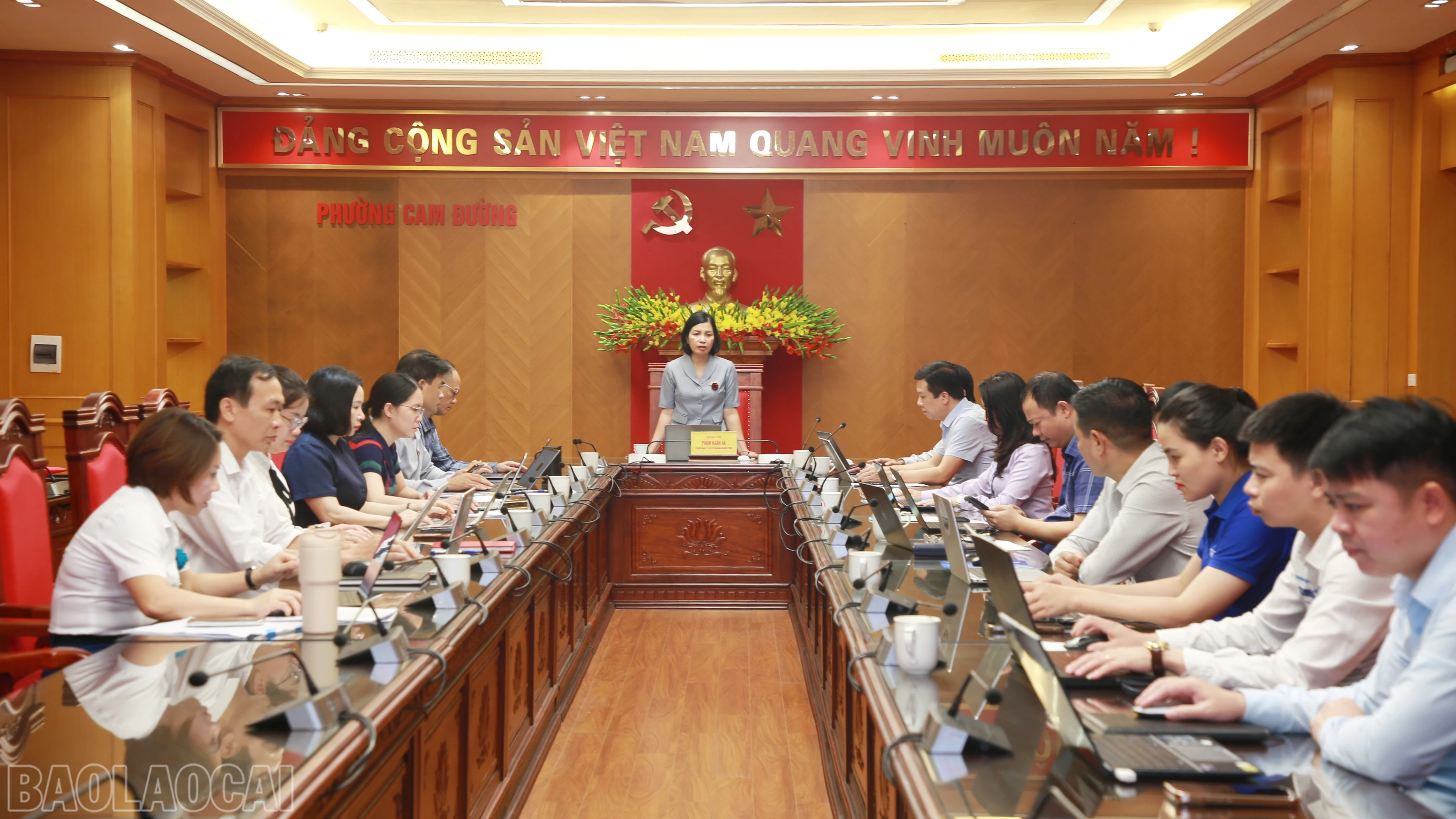 baolaocai-bl_img-3988.jpg