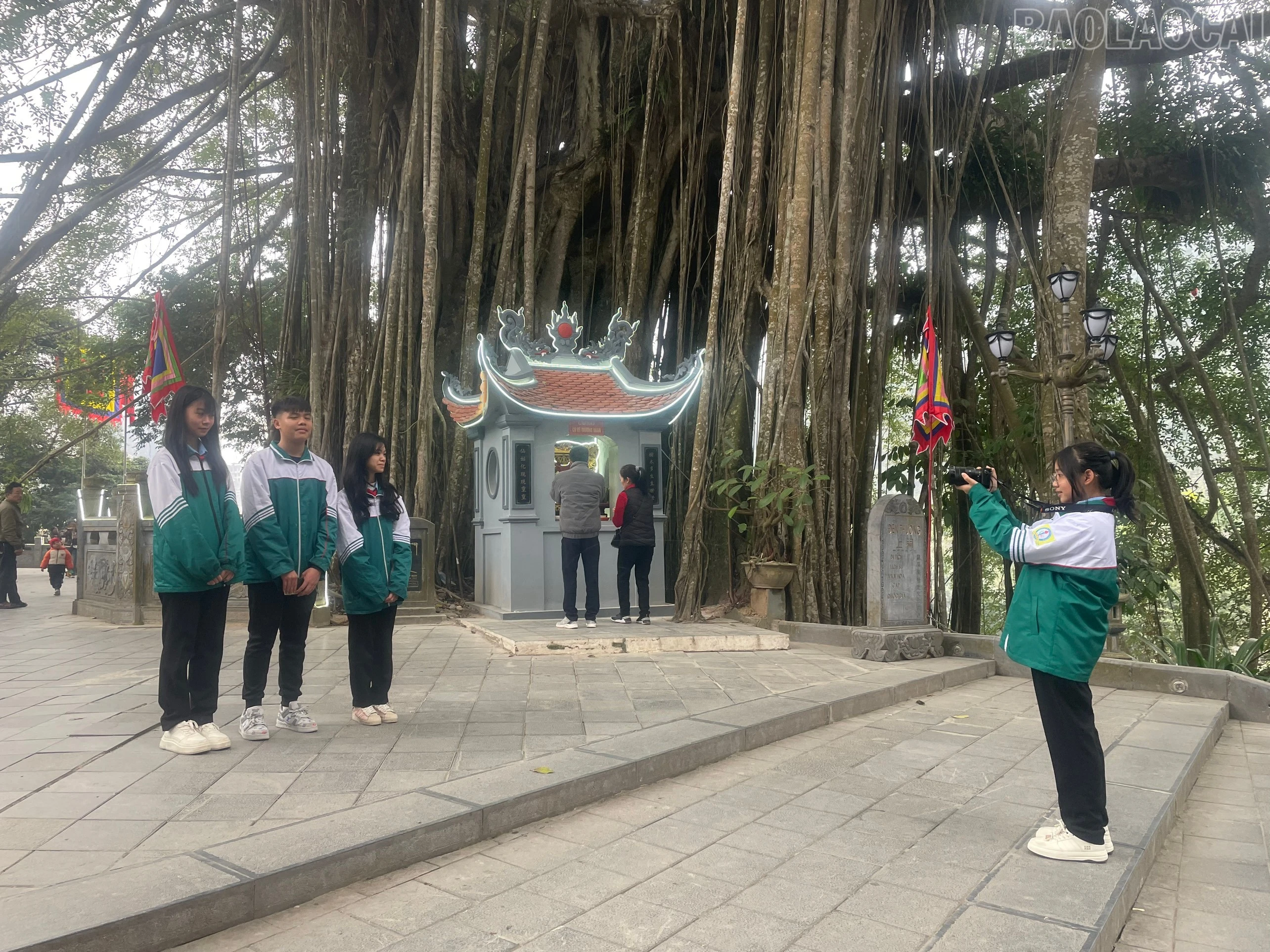 baolaocai-tr_1000000198.jpg