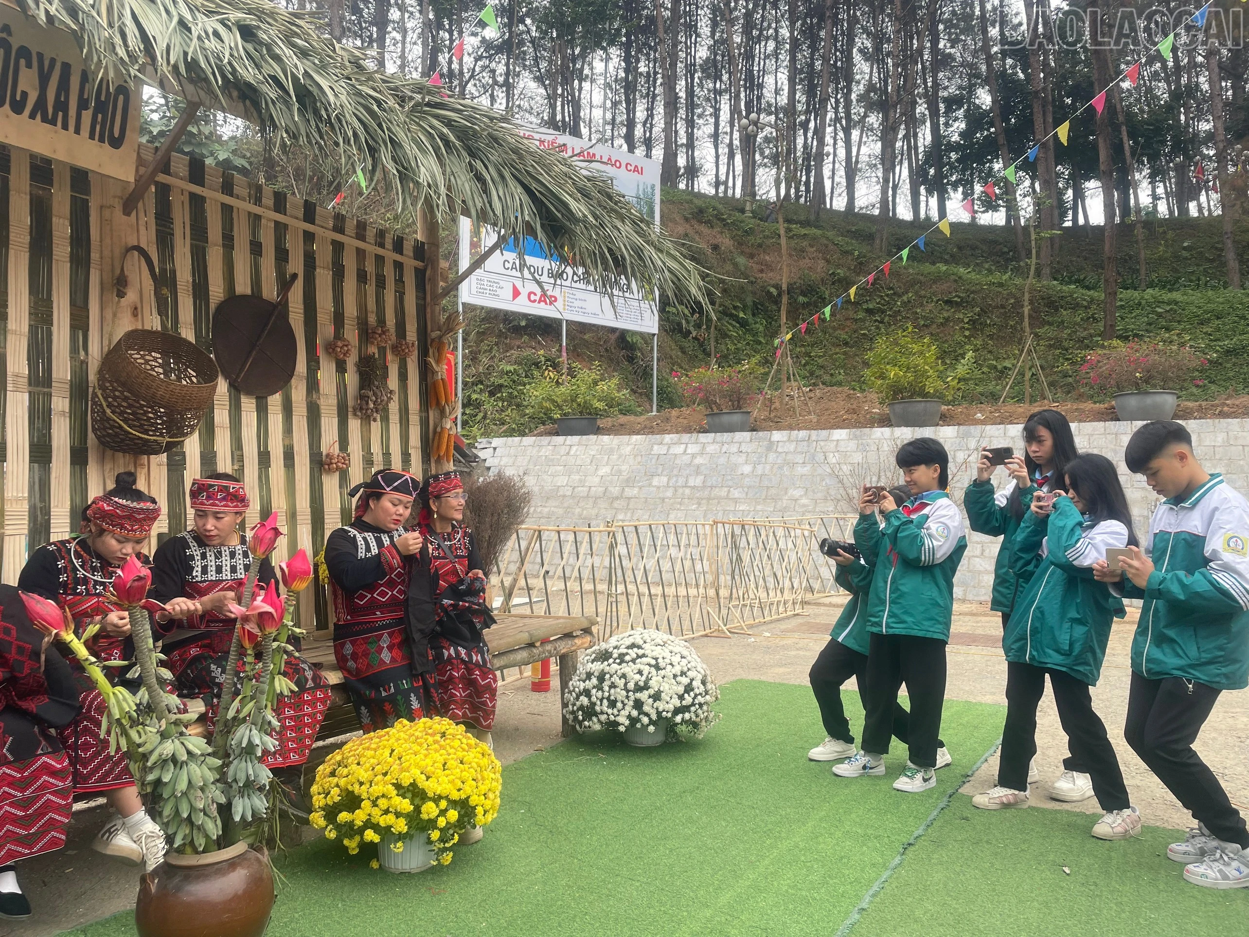 baolaocai-tr_1000000197.jpg