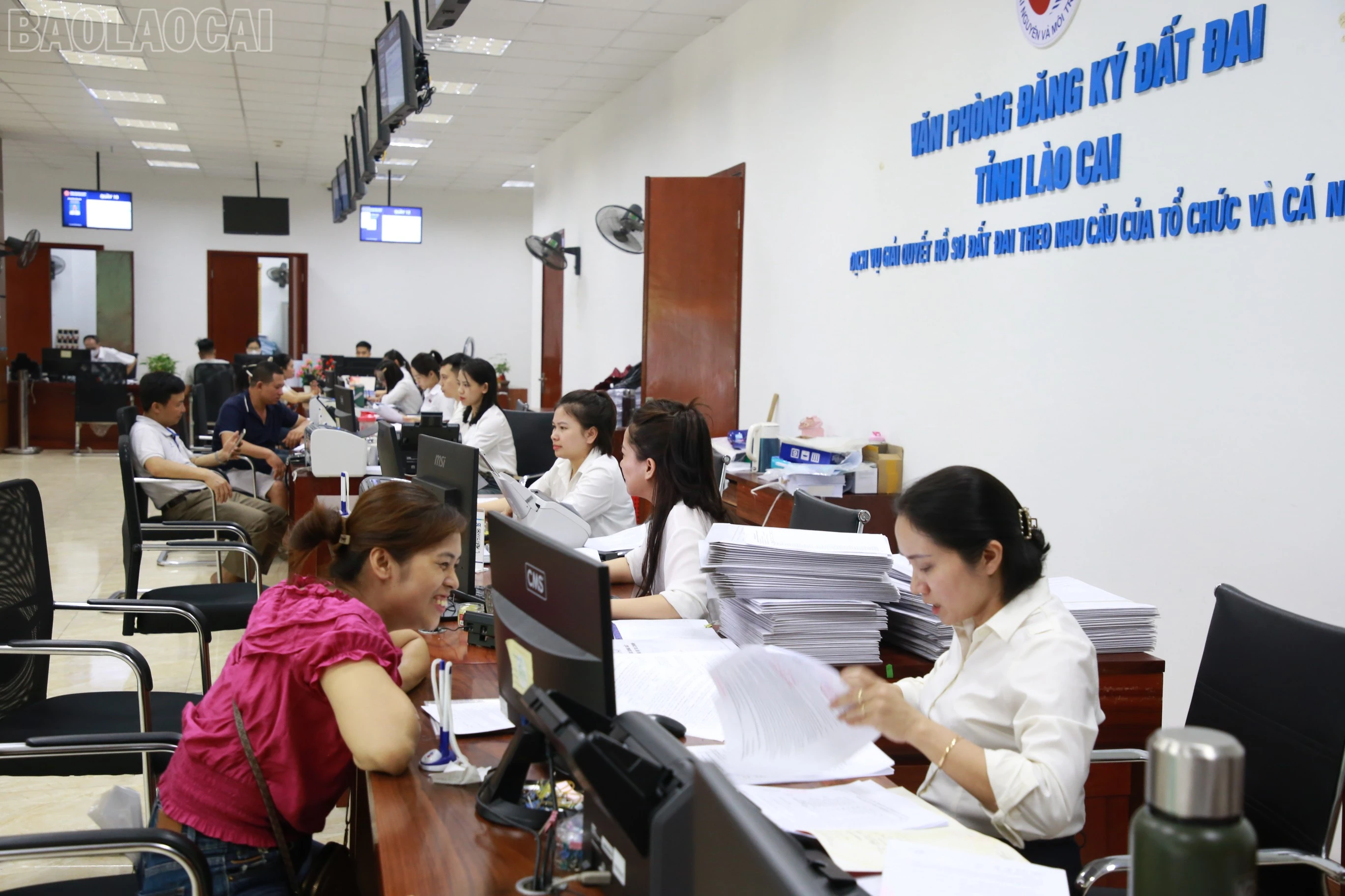 baolaocai-tl_img-8718.jpg