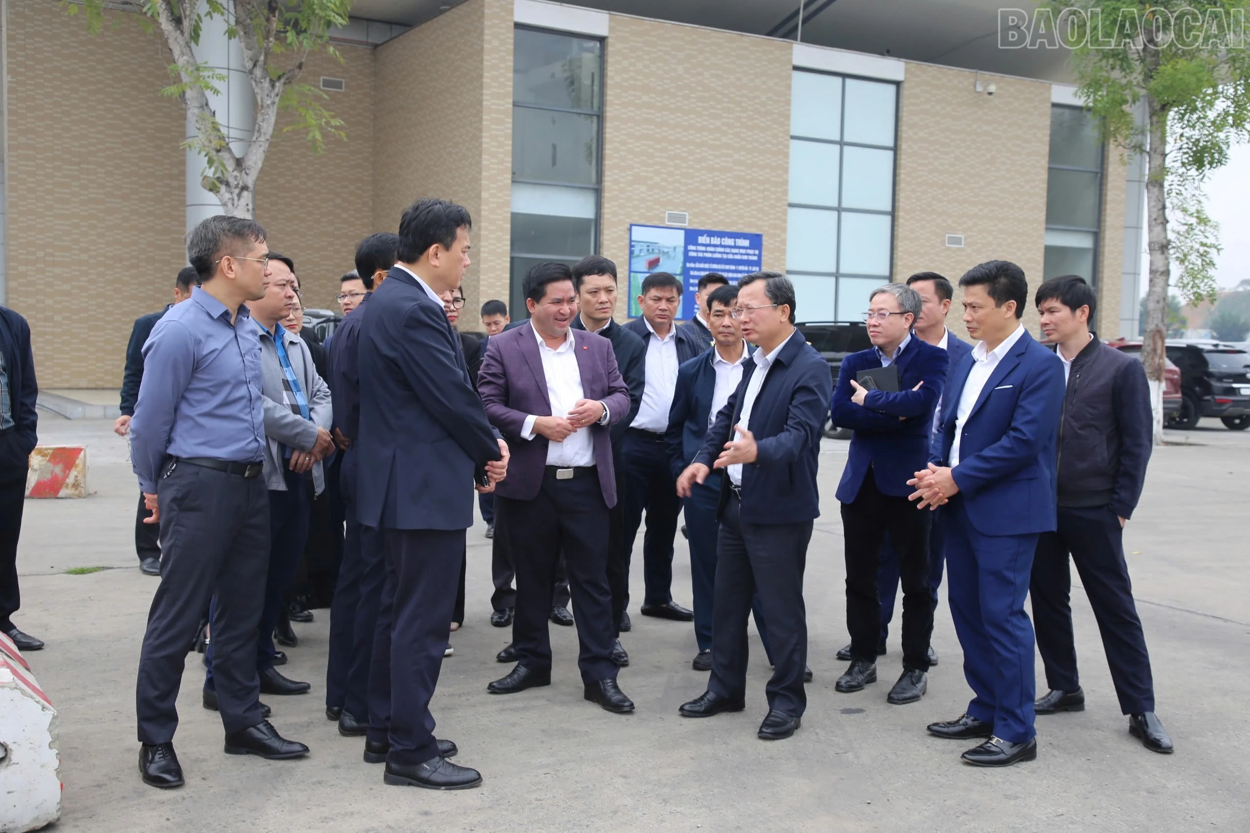 baolaocai-tr_1000000294.jpg