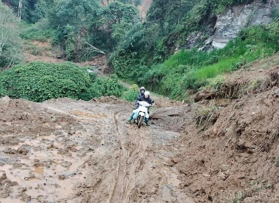 mưa.jpg