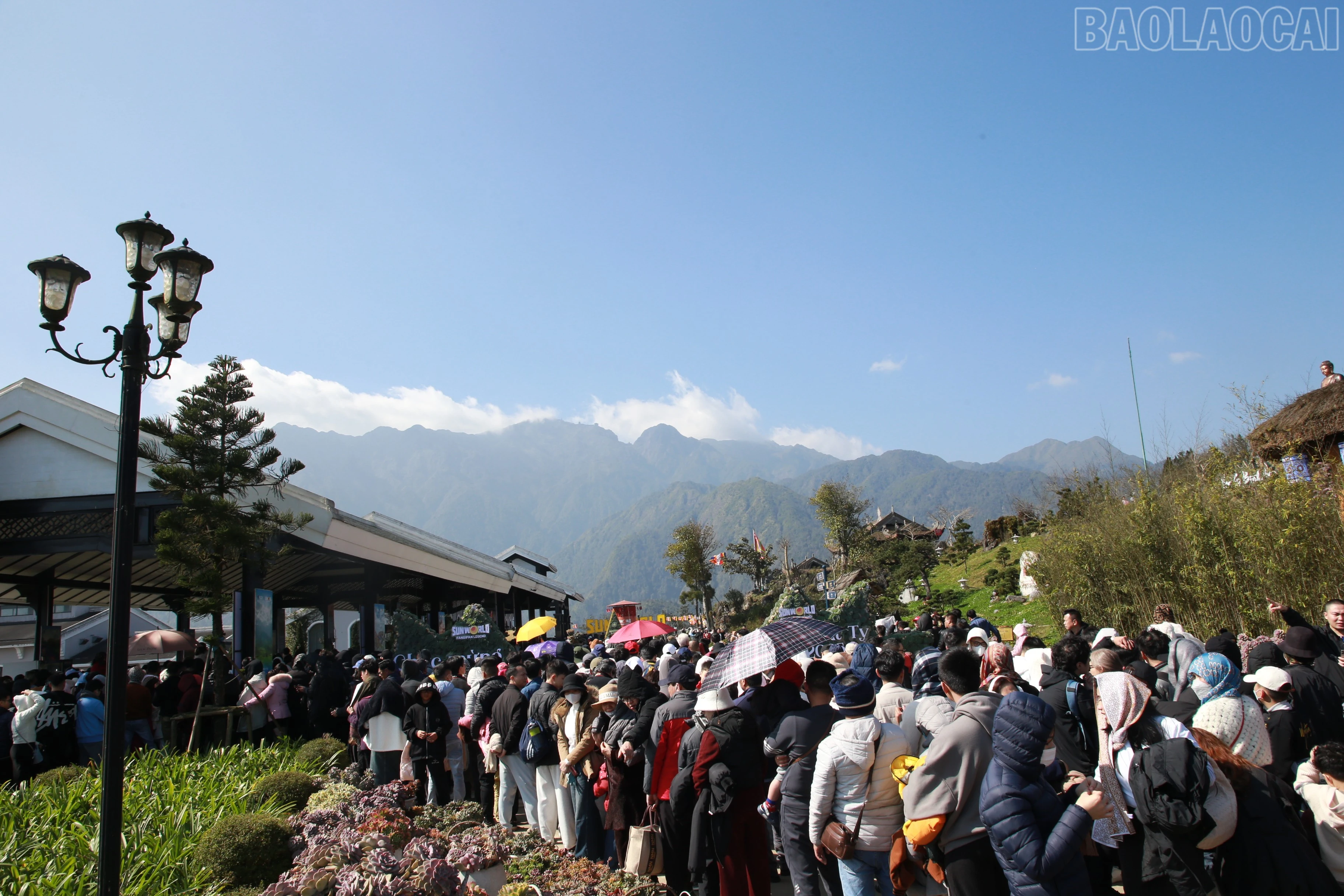 baolaocai-tr_img-8980.jpg