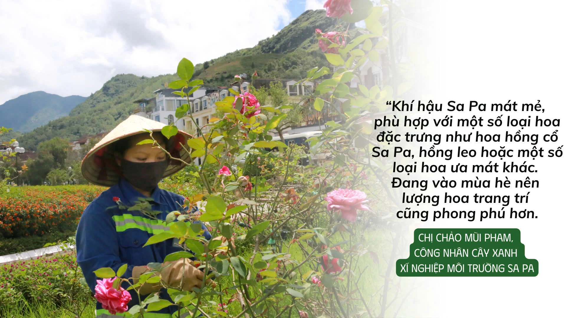 chị pham.jpg
