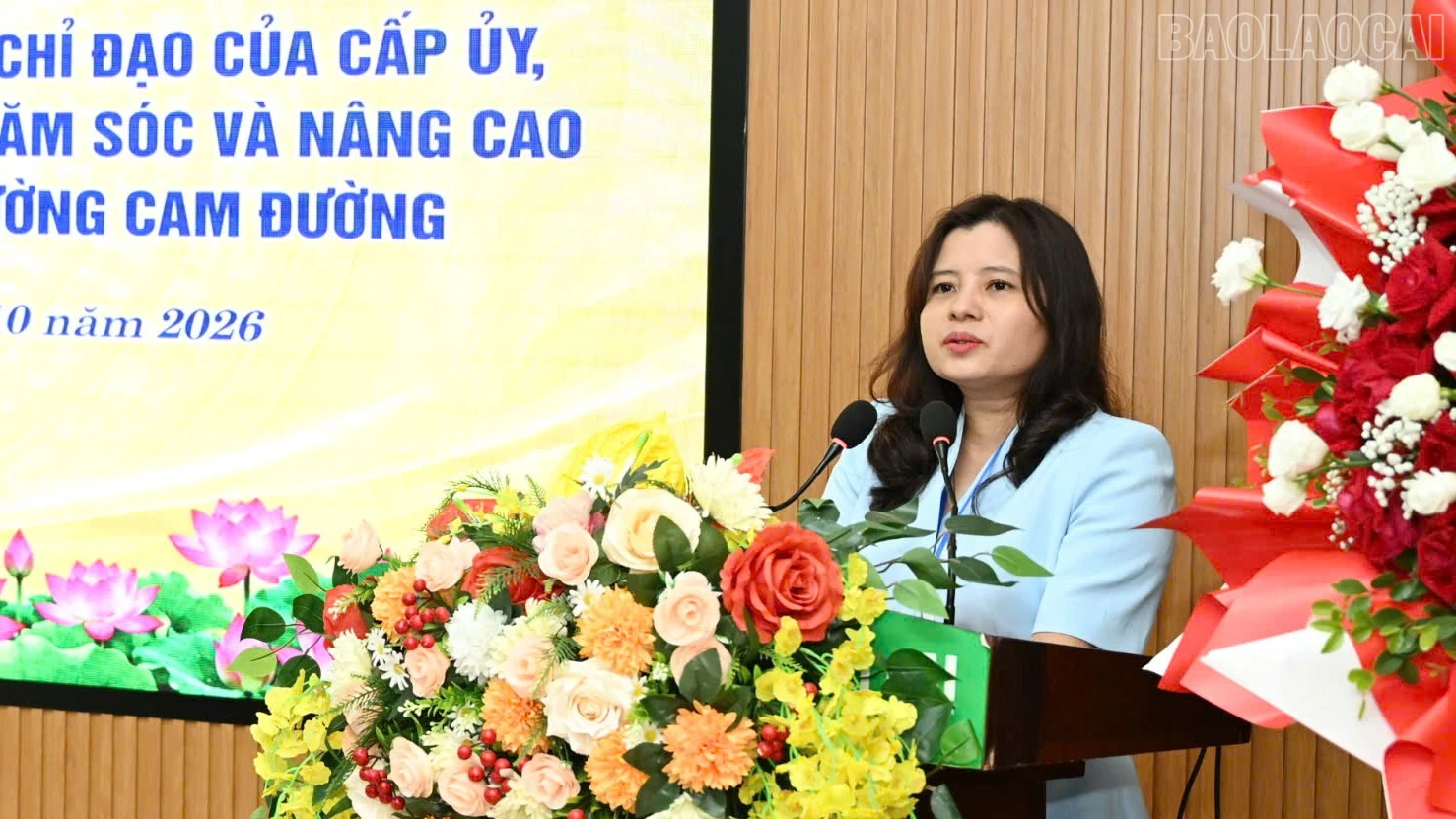 baolaocai-tr_1791454869836-8699837571362114674-8699837571362114674-5aa3ee261a0afcd0130f0dd6ad9108b5.jpg