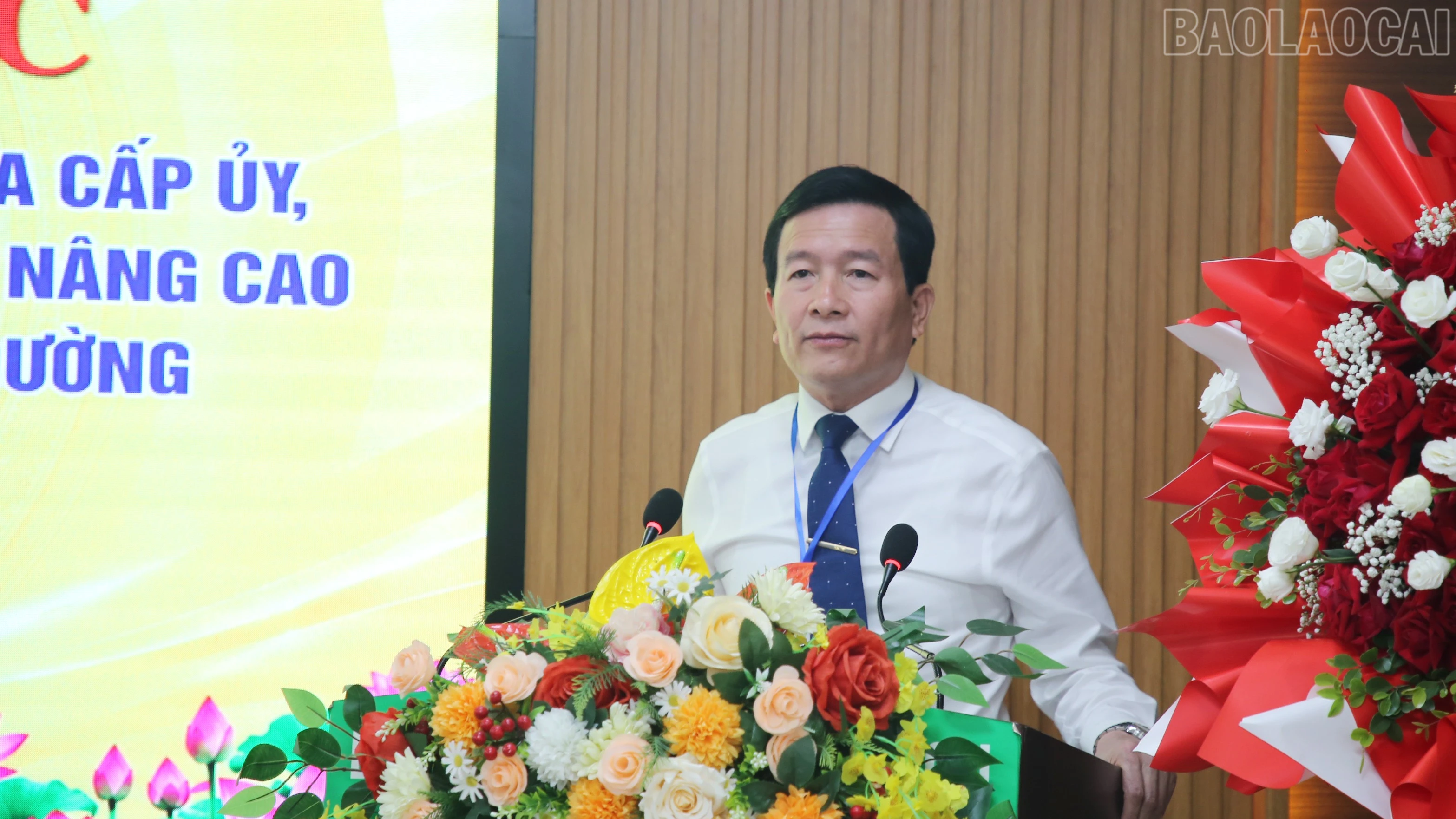 baolaocai-tr_img-4381.jpg