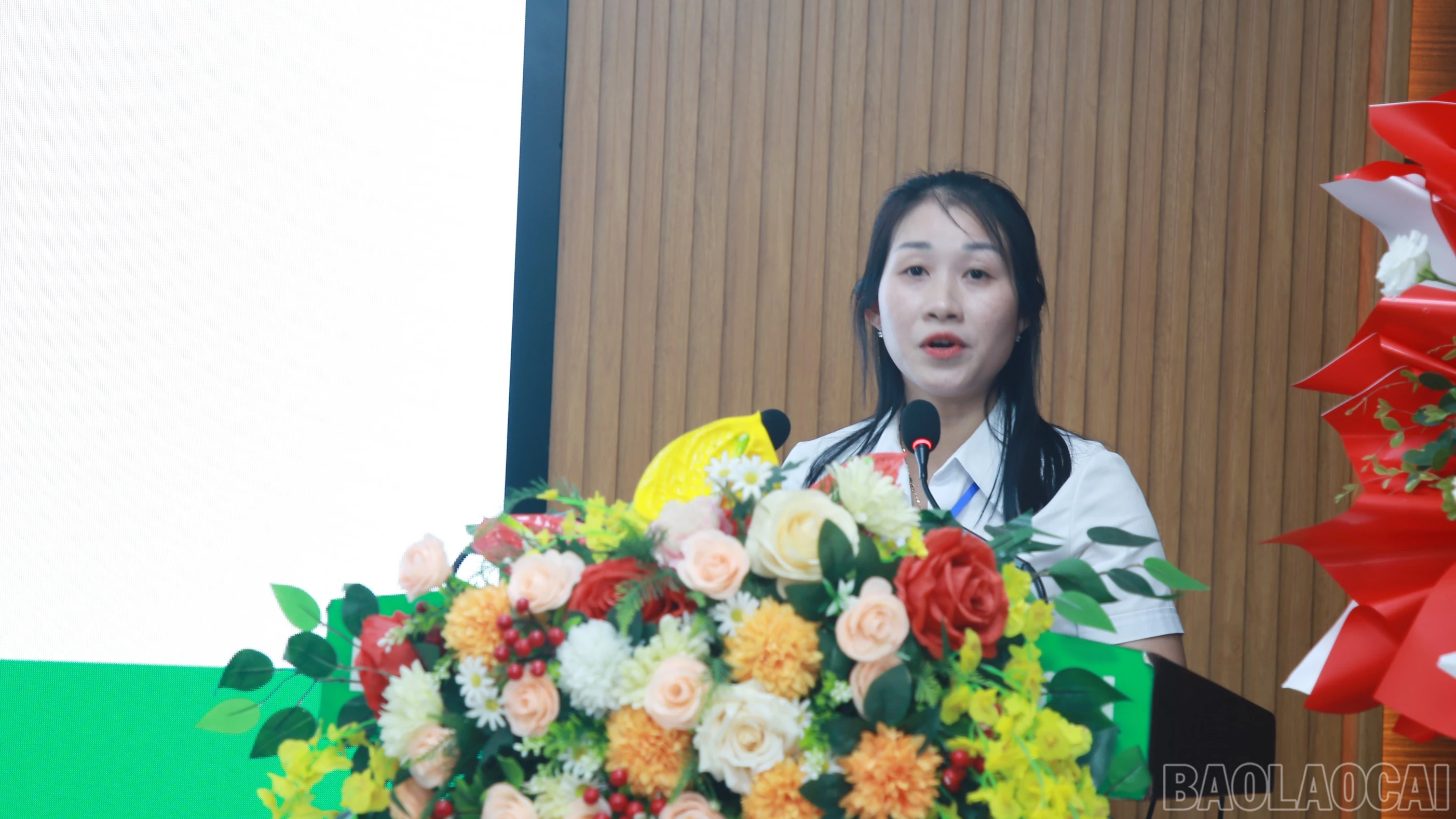 baolaocai-br_img-4393.jpg