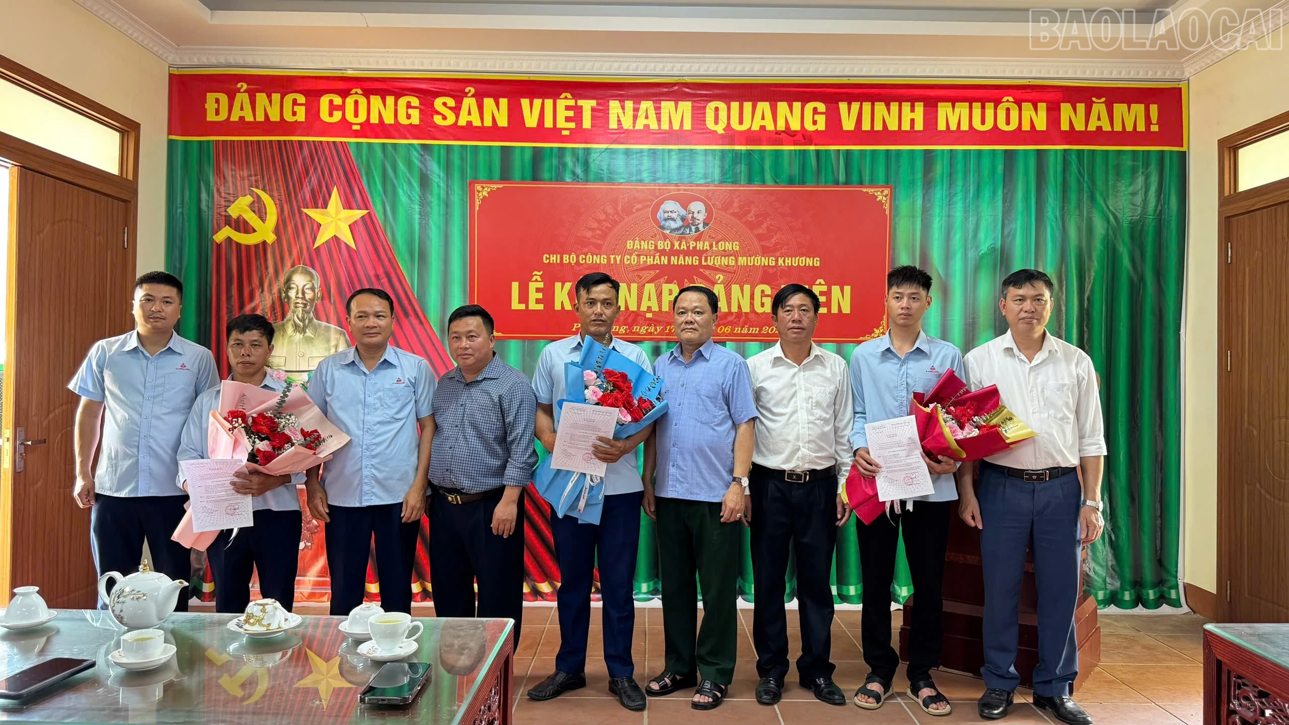 baolaocai-tr_pha-long-7.jpg