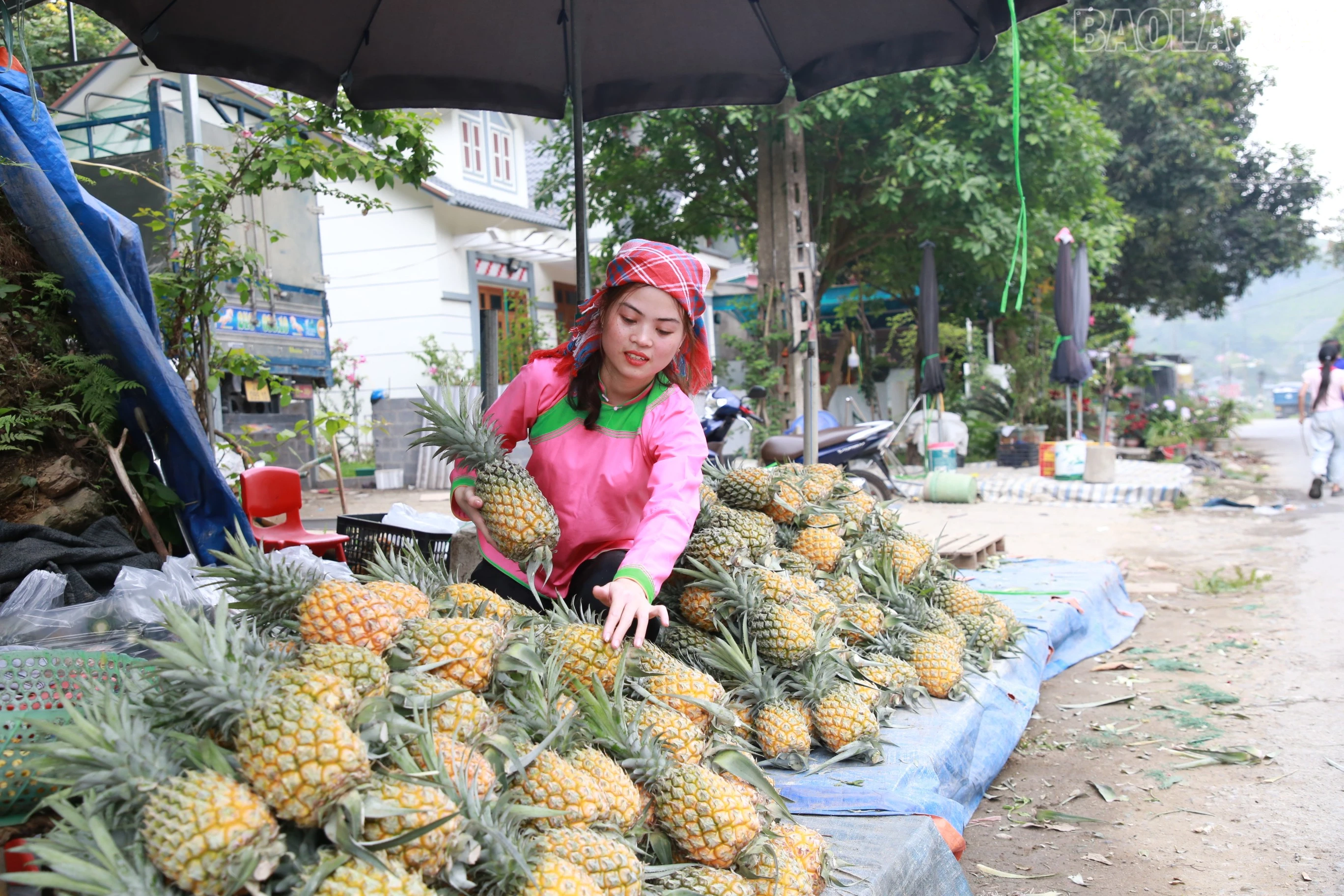 baolaocai-tr_img-8621.jpg