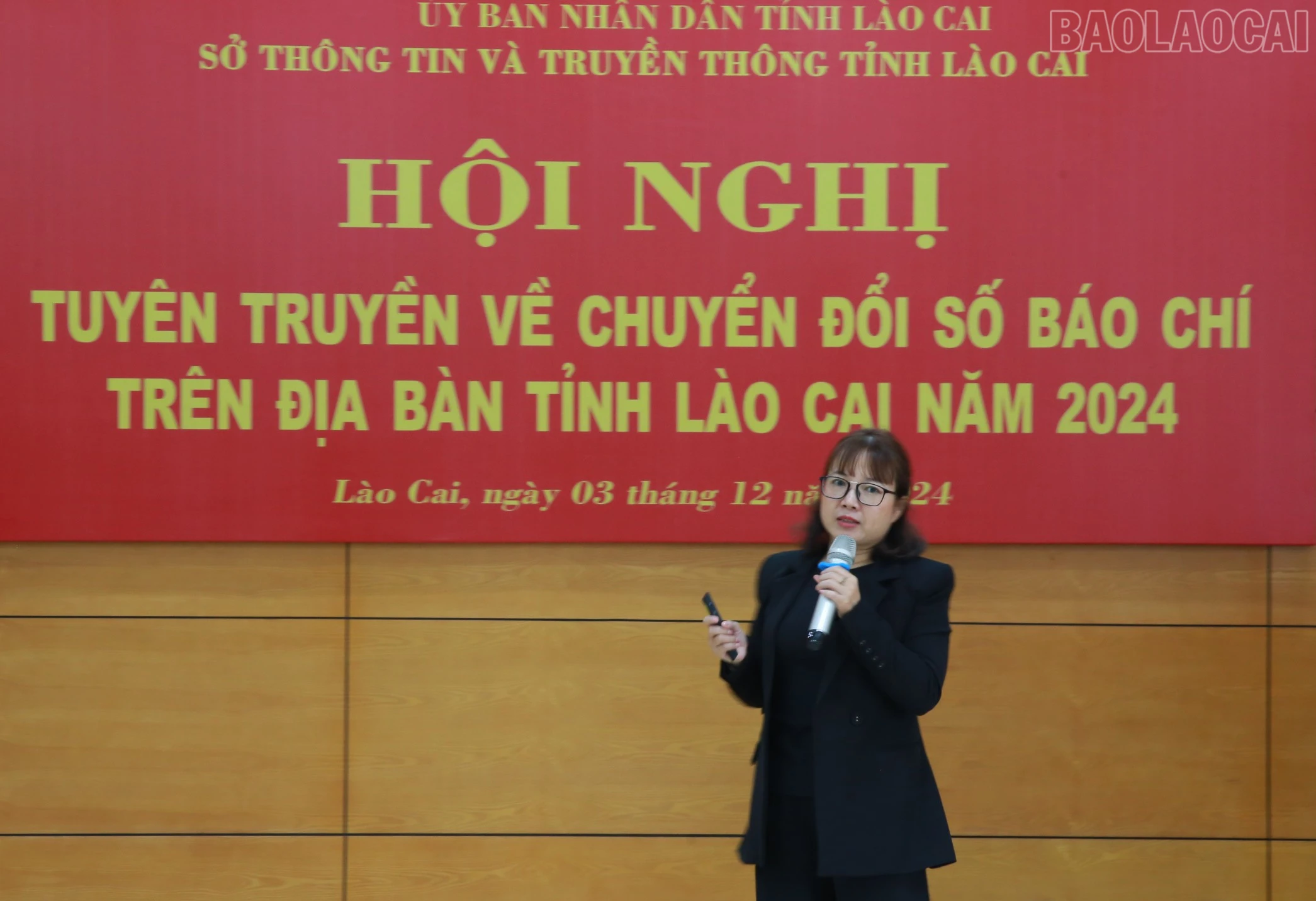 baolaocai-tr_img-0234.jpg