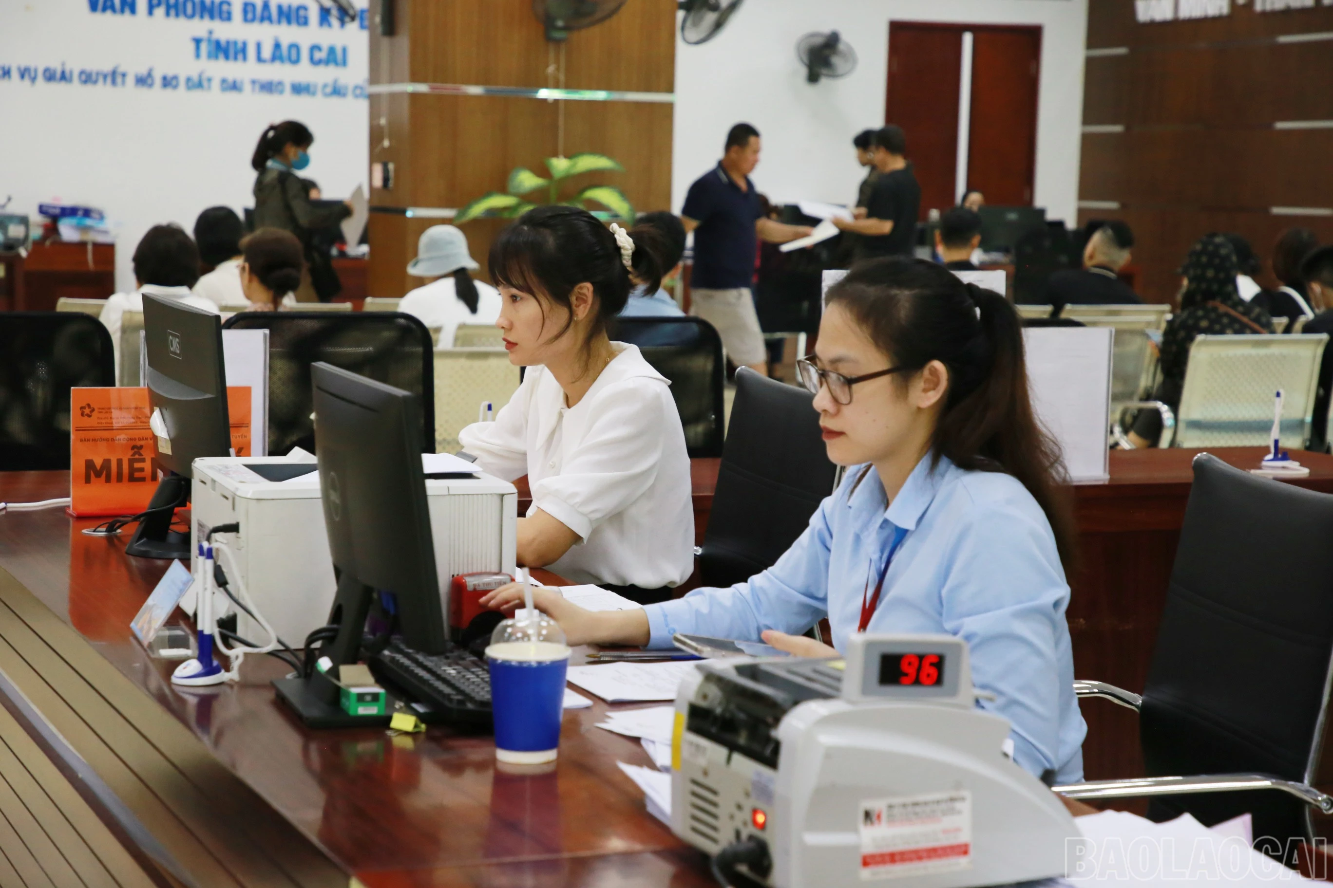 baolaocai-br_img-8767.jpg