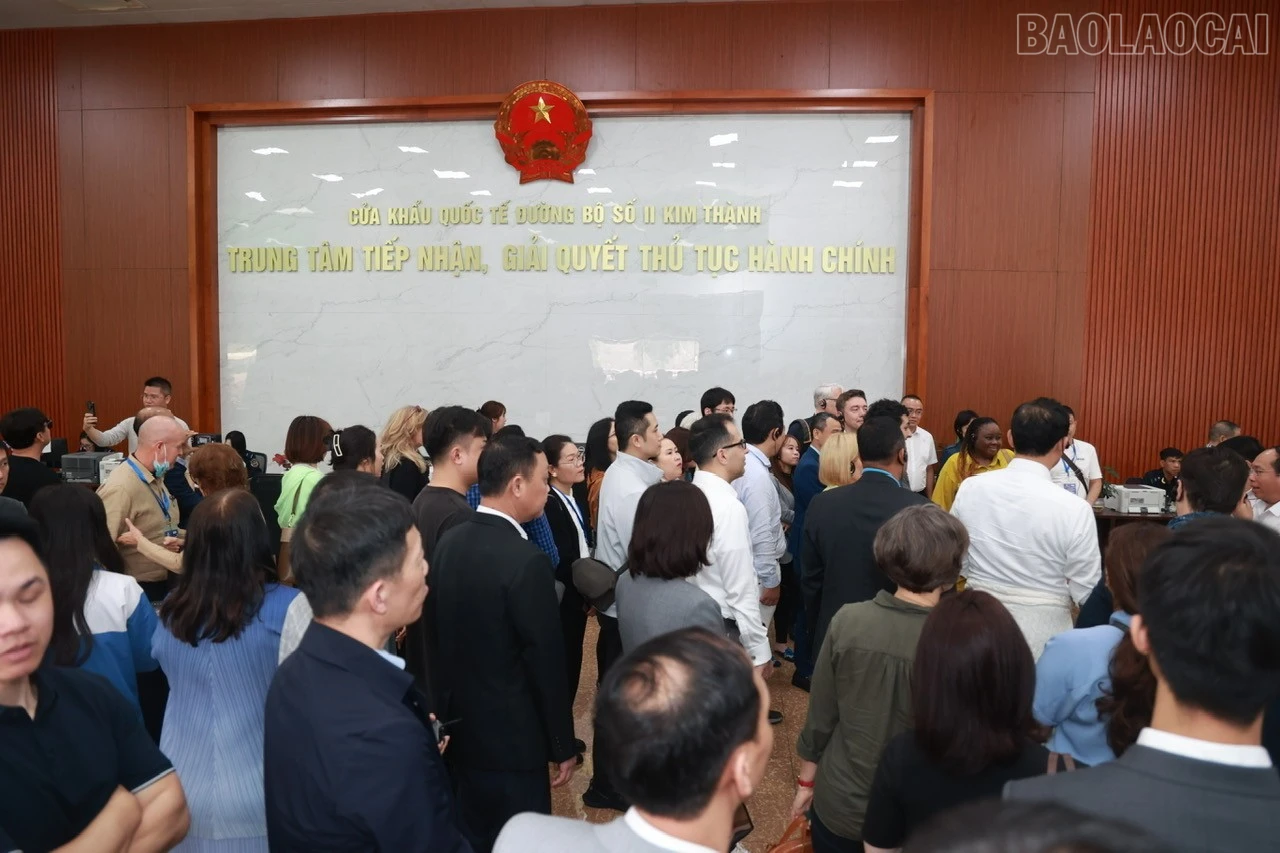baolaocai-tr_1imbt60ft-3pk6dg.jpg