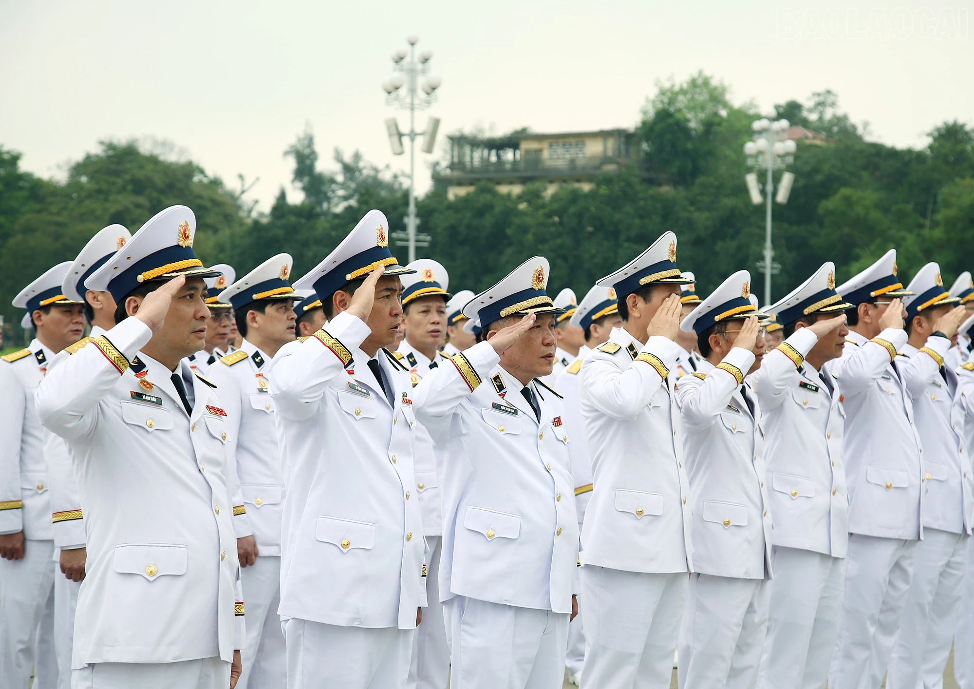 baolaocai-tr_chao-co-4.jpg