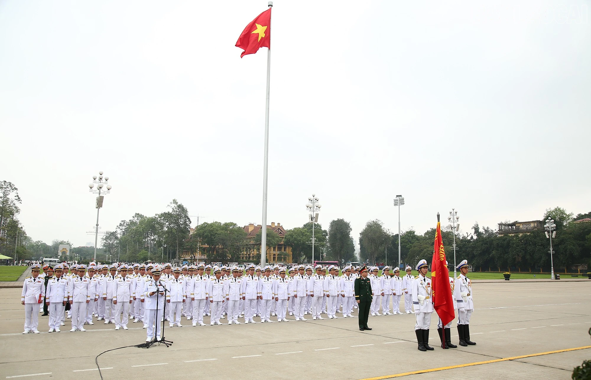 baolaocai-tr_bao-cong.jpg