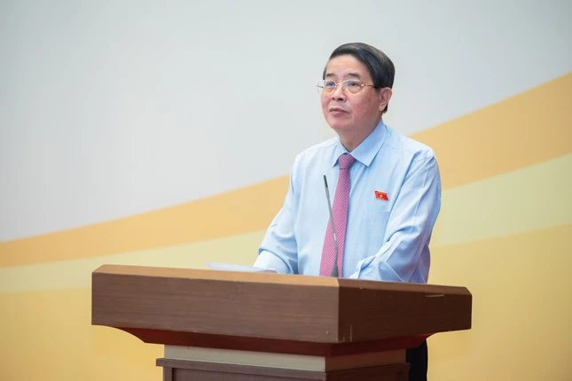 Phó Chủ tịch Quốc hội Nguyễn Đức Hải phát biểu tại phiên giải trình.