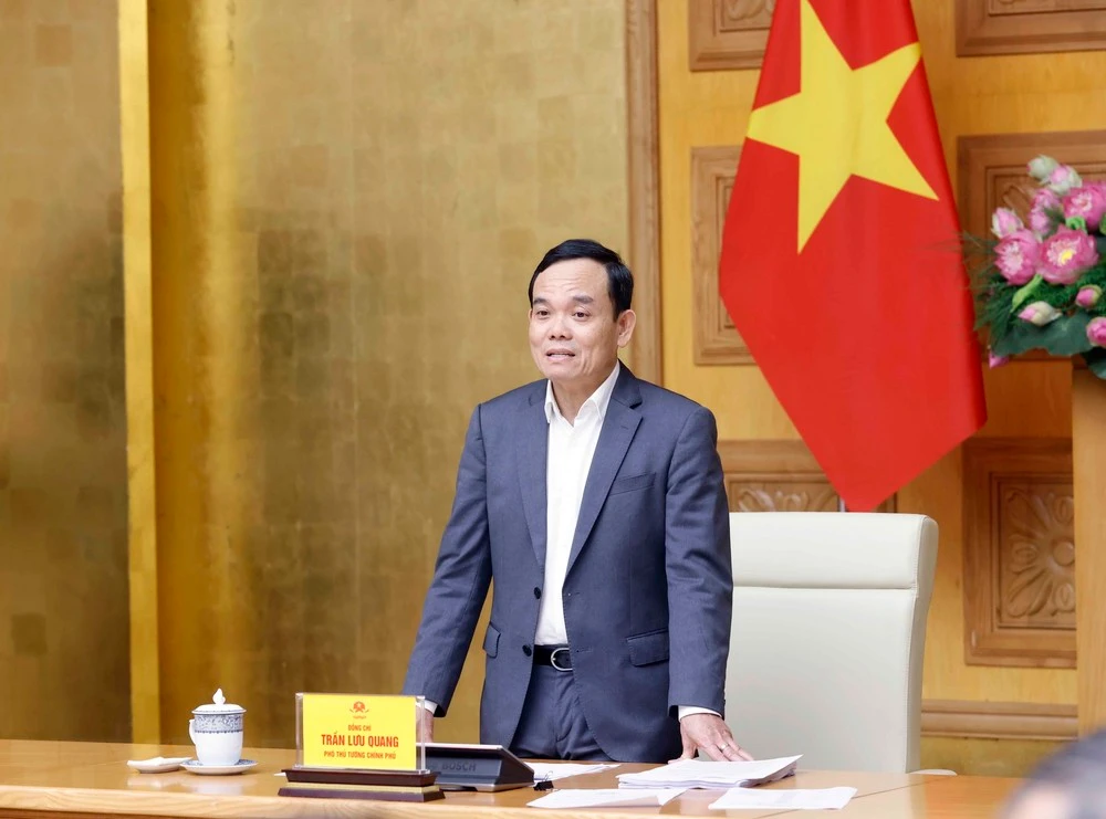 Phó Thủ tướng Trần Lưu Quang phát biểu.
