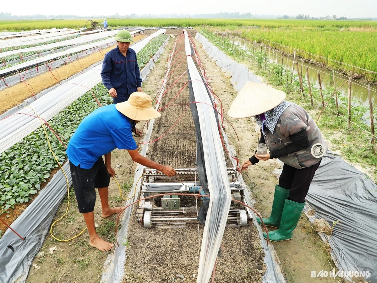 "Robot đặt hạt" do anh Hát sáng chế hoạt động trên cánh đồng Gia Lộc, Hải Dương.