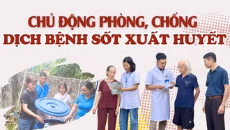 Chủ động phòng, chống dịch bệnh sốt xuất huyết