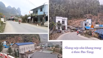 Sức sống mới ở Páo Tủng