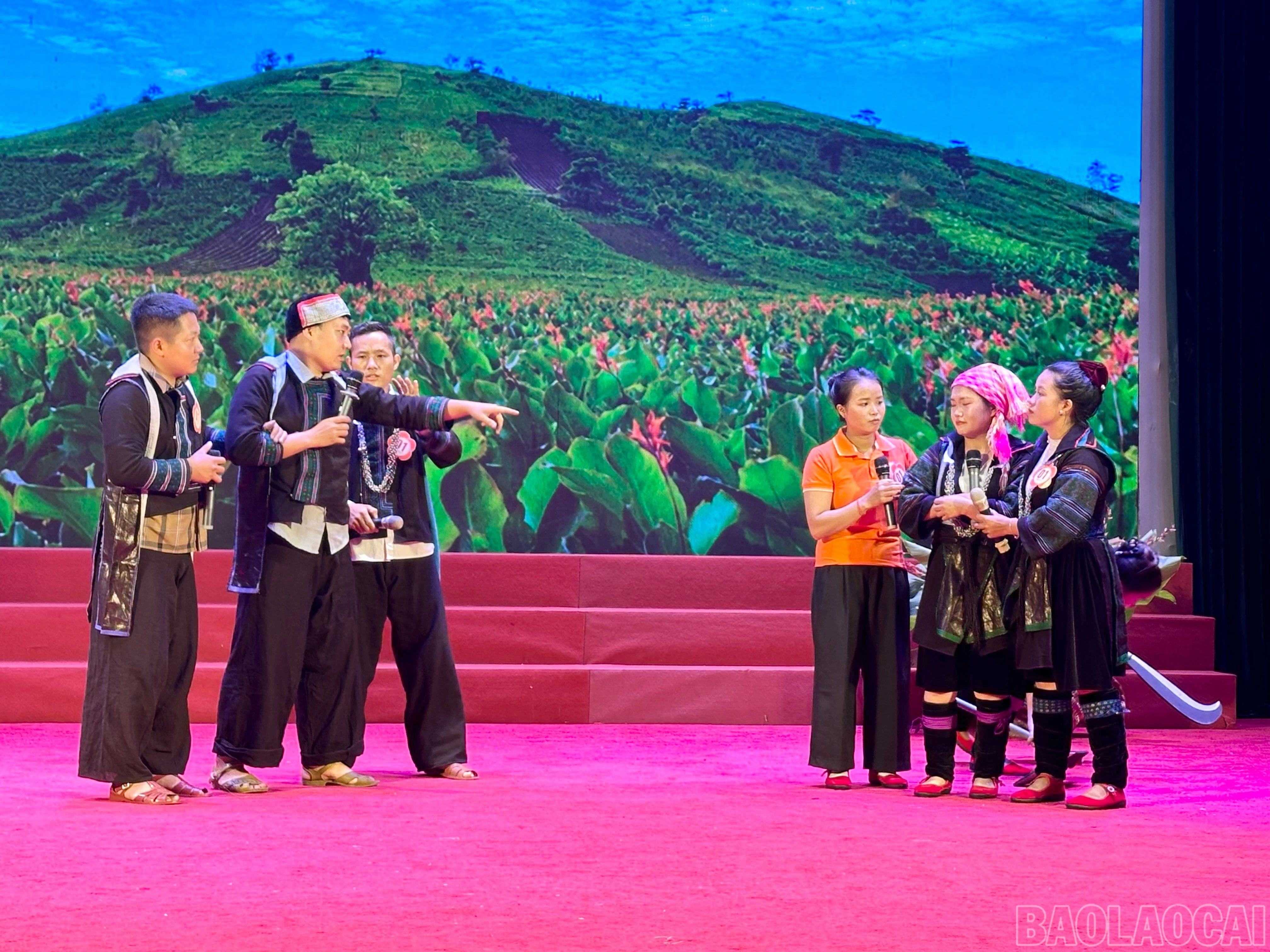 baolaocai-br_img-2516.jpg
