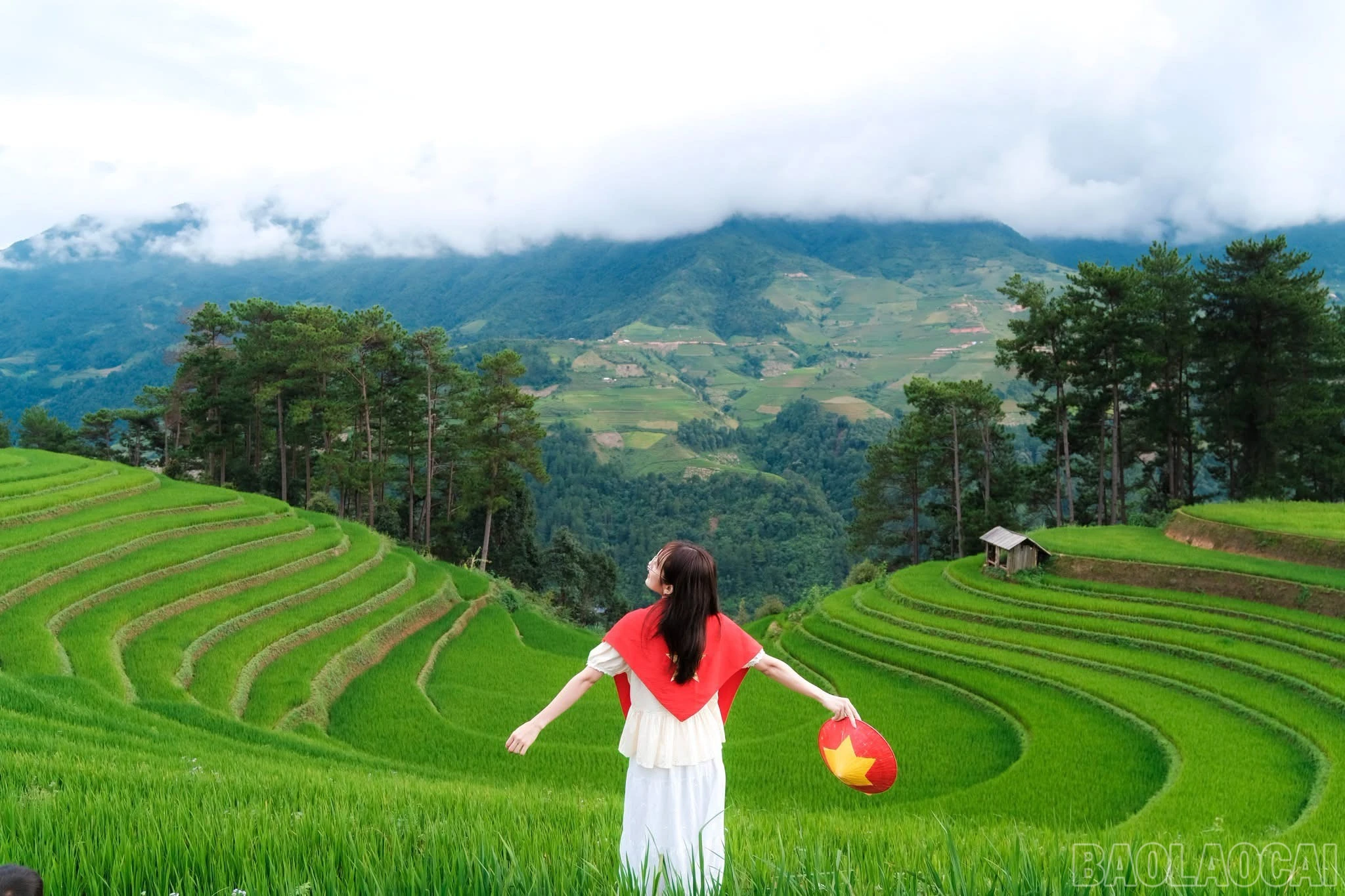 baolaocai-br_img-2587.jpg