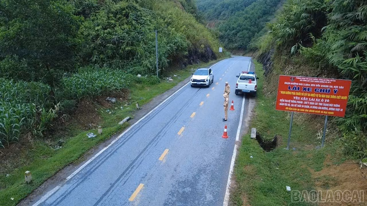 baolaocai-br_gt4.jpg