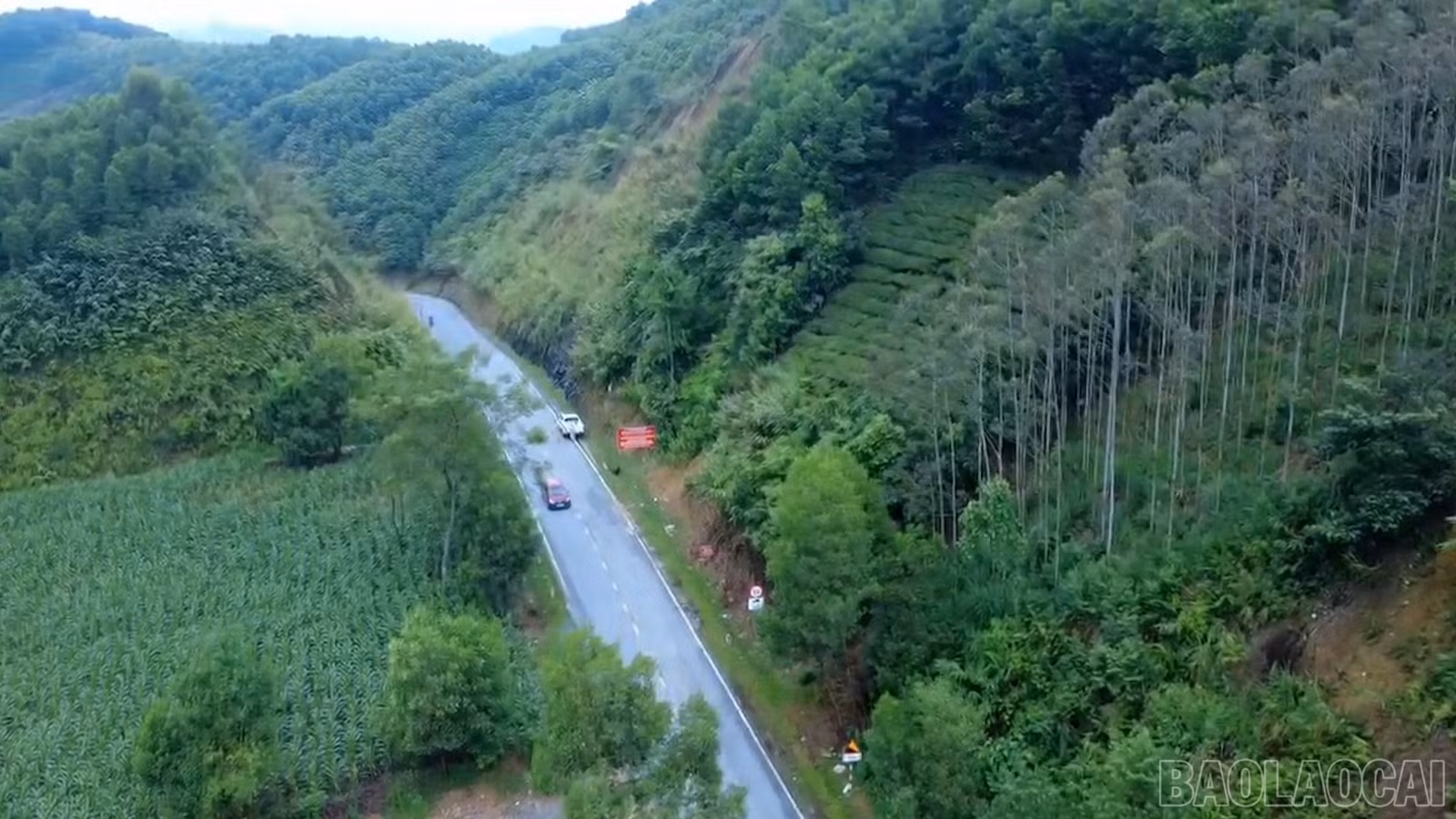 baolaocai-br_gt3.jpg