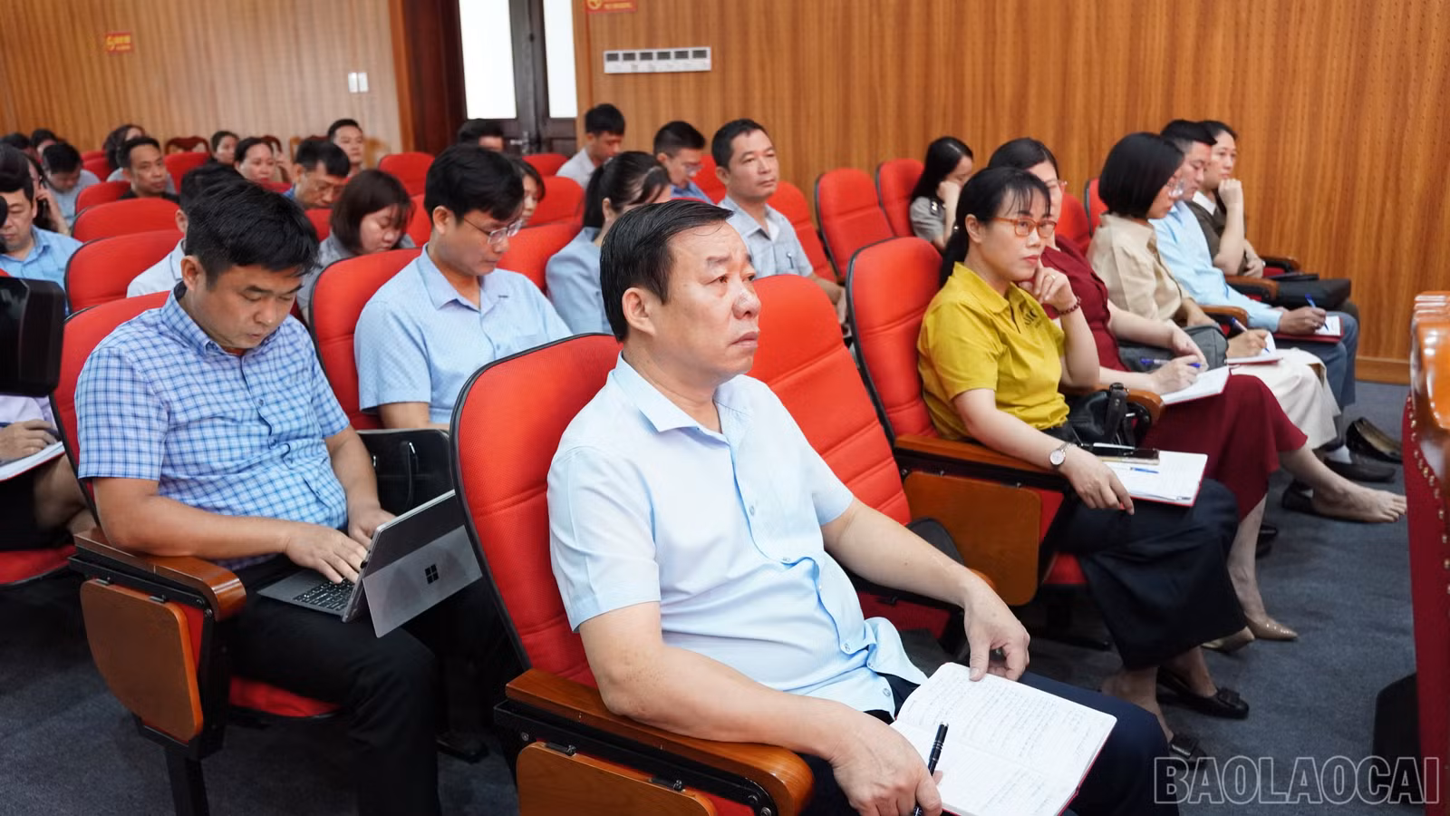 baolaocai-br_fpt04480.jpg