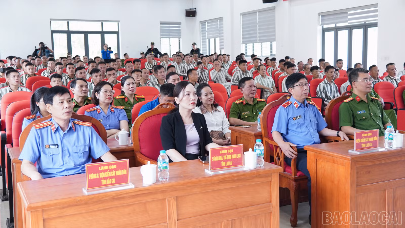 baolaocai-br_fpt03784.jpg