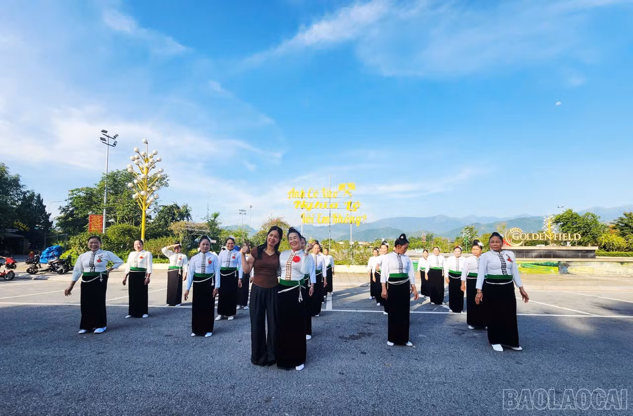 baolaocai-br_1788319391929-5837412779391601742-5837412779391601742-f7460a4b66091648d56bddae894bd9af.jpg