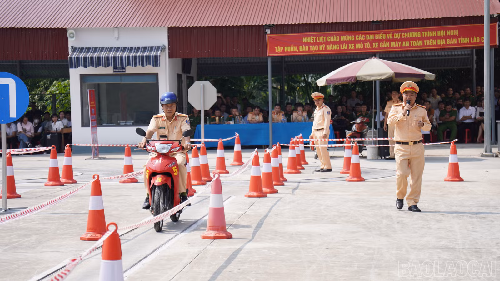 baolaocai-br_fpt04385.jpg