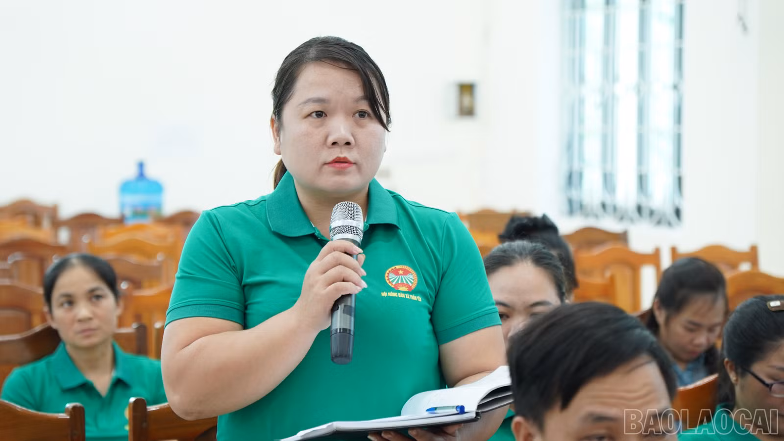 baolaocai-br_fpt04613.jpg