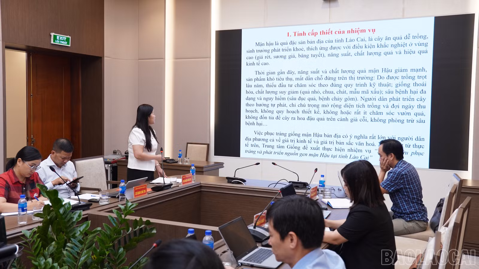 baolaocai-br_fpt04818.jpg