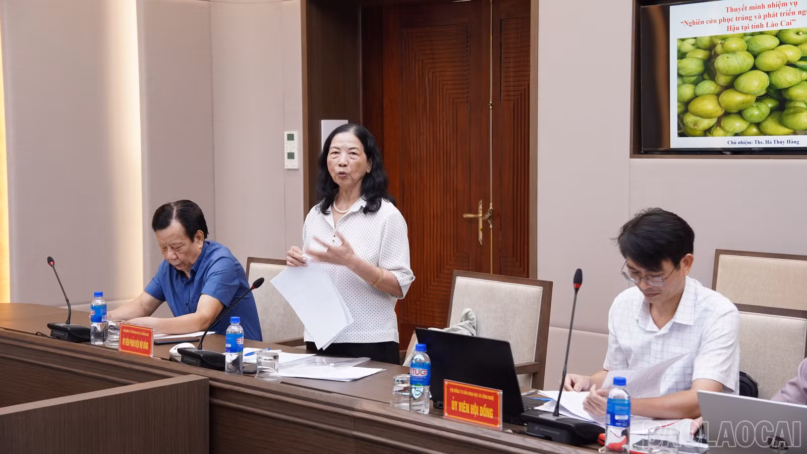 baolaocai-br_fpt04834.jpg