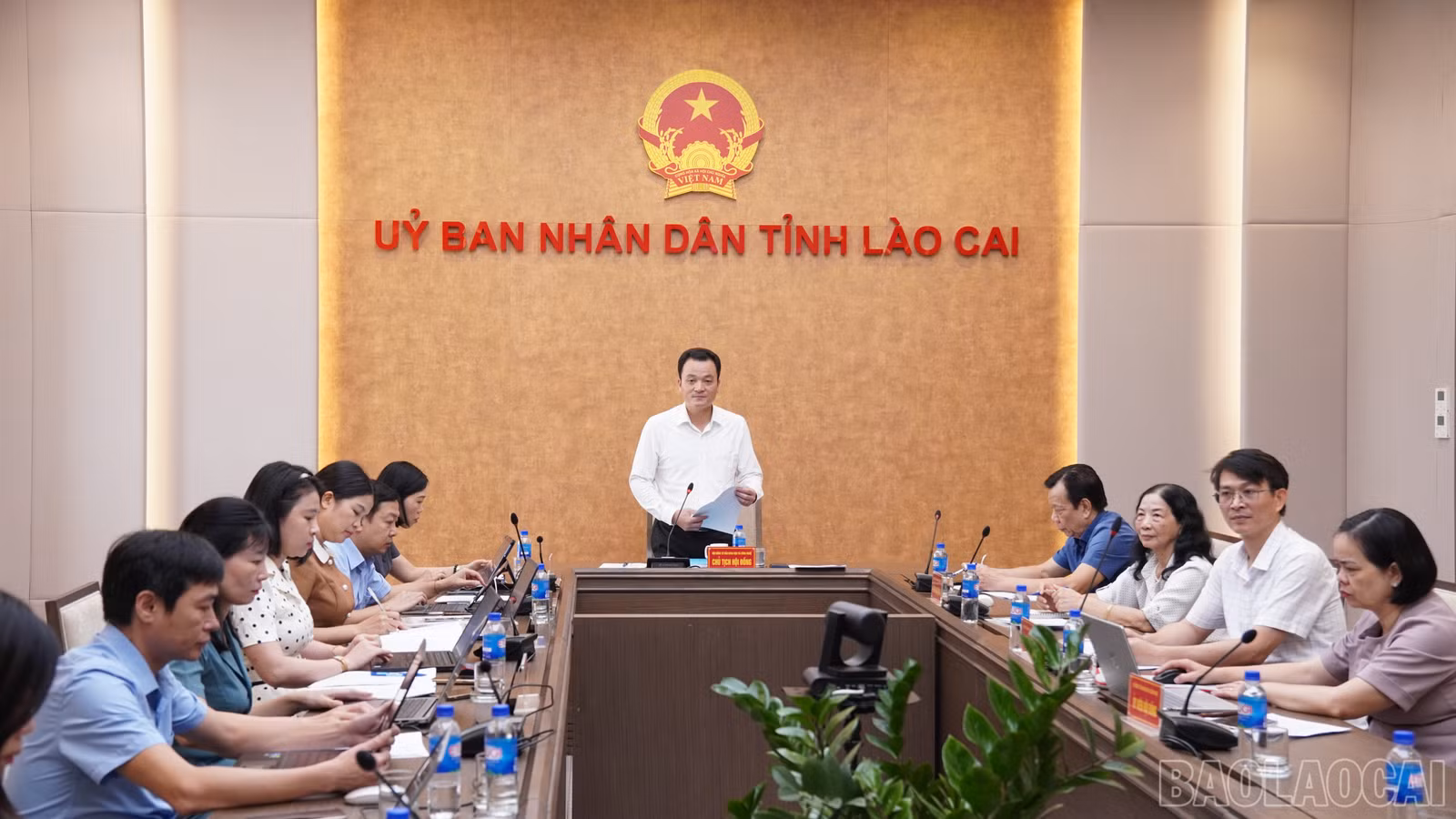 baolaocai-br_fpt04813.jpg